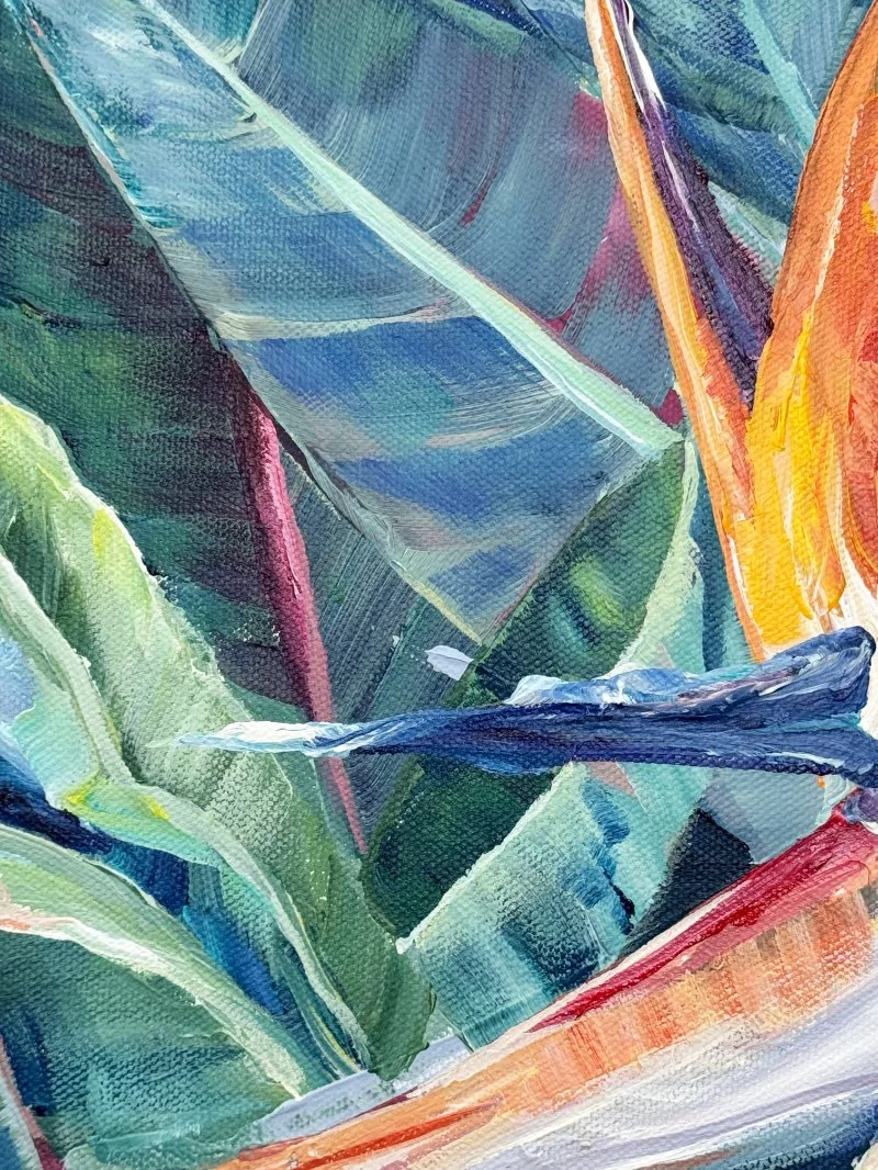 Bird of Paradise 2 - close up.jpg