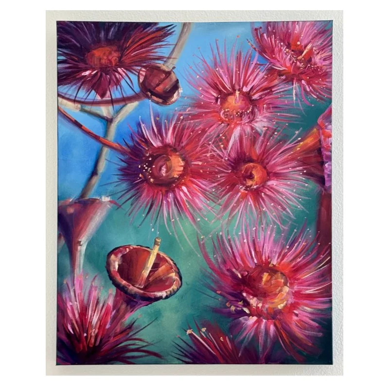 Flowering Gum Tree 24" x 30"