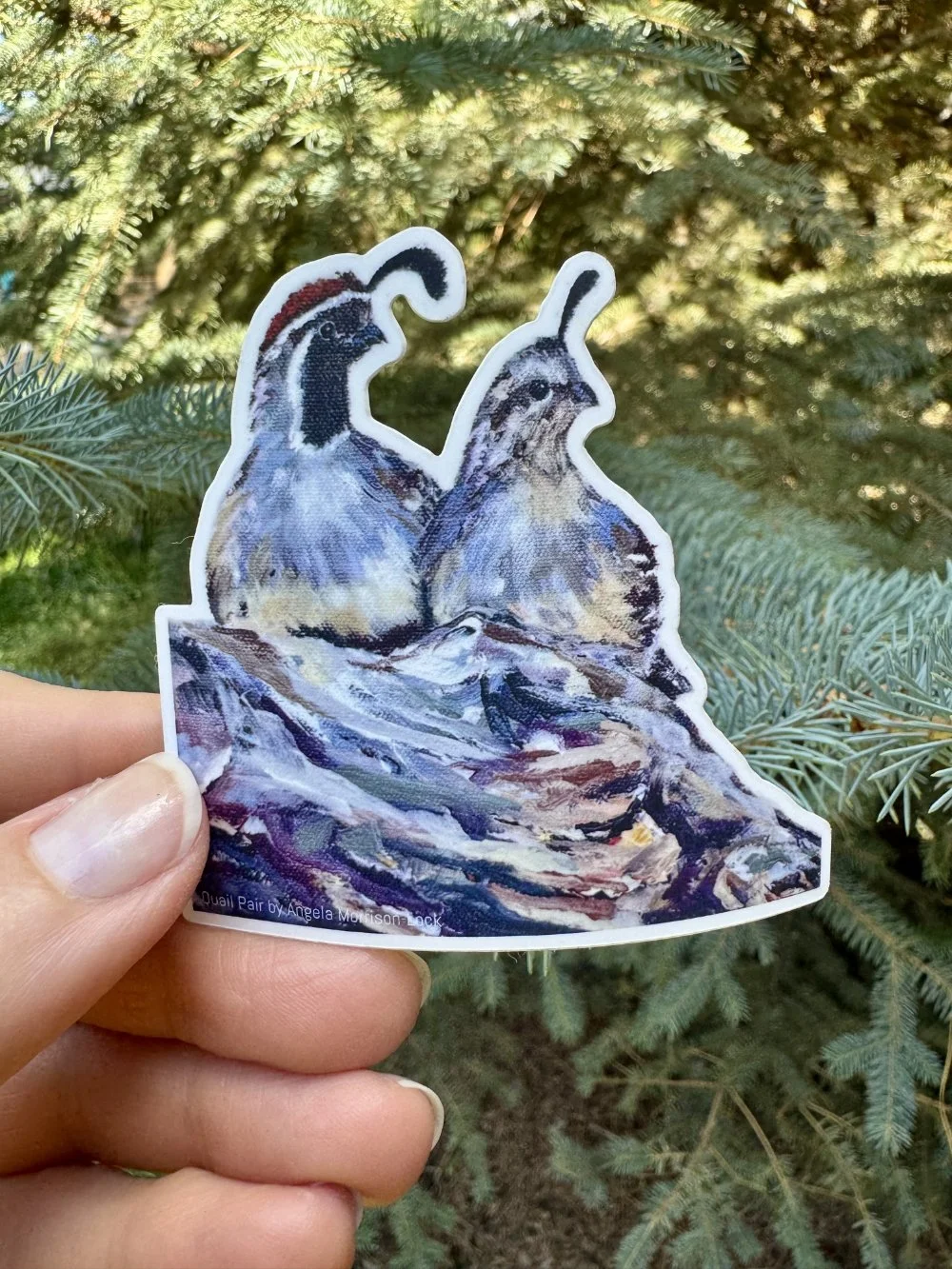 Quail Pair 3" x 3"