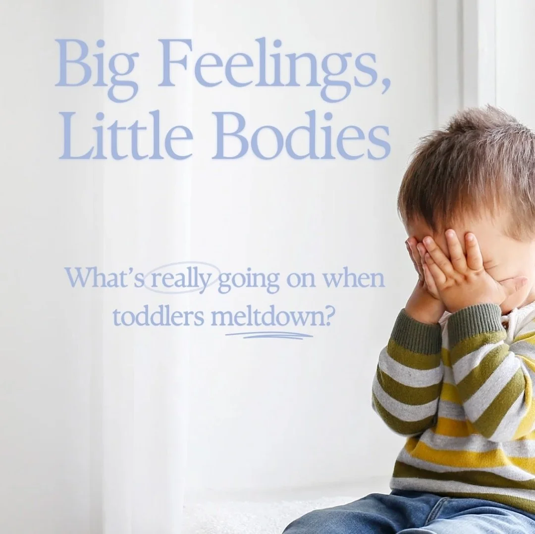 Meltdowns don&rsquo;t mean your toddler is &ldquo;bad&rdquo; or &ldquo;manipulative.&rdquo;

They mean your toddler is immature, in the most developmentally normal way.

Their brain is still learning how to ride emotional waves.

And in those moments
