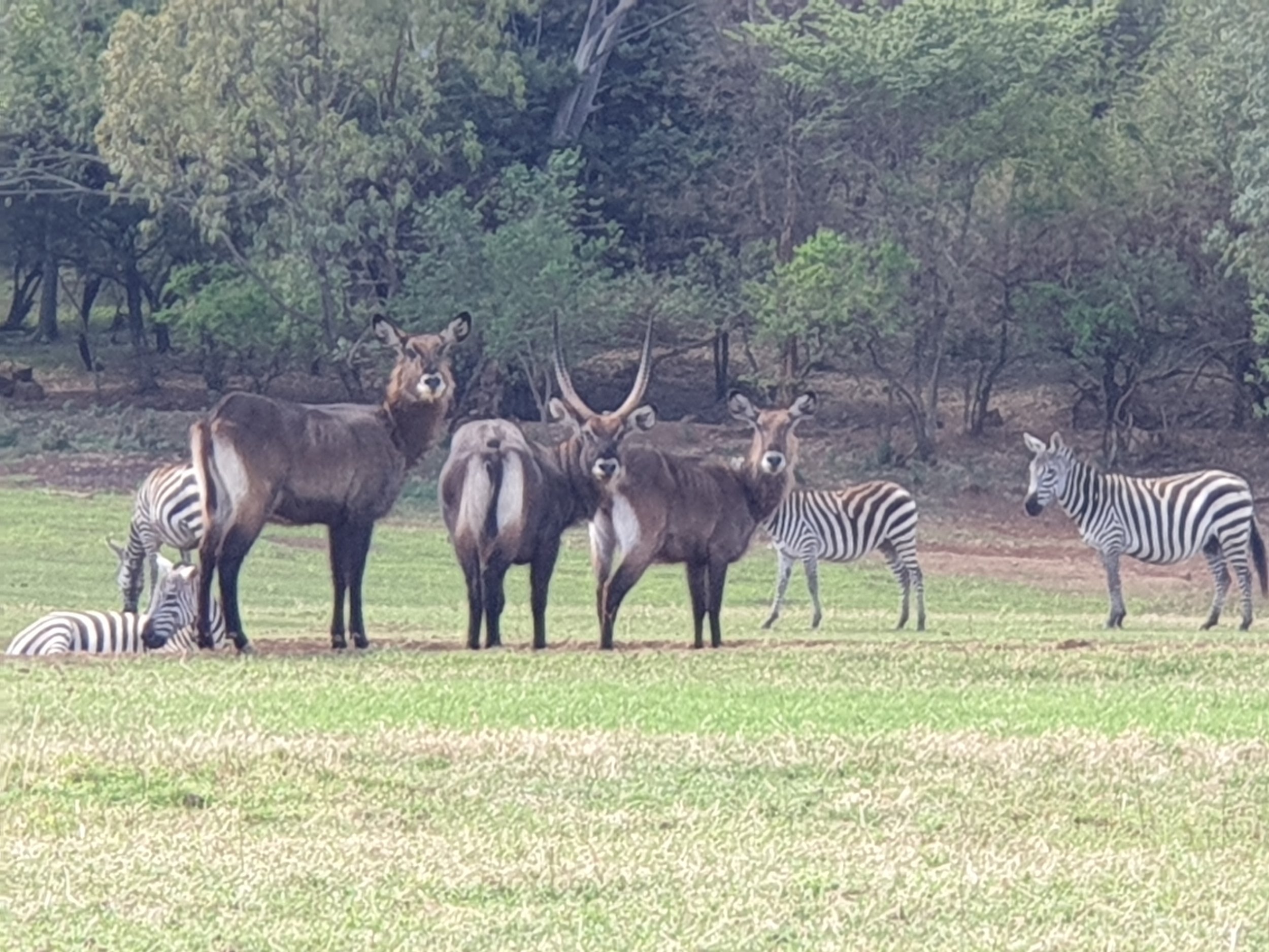 20190519_110815.jpg