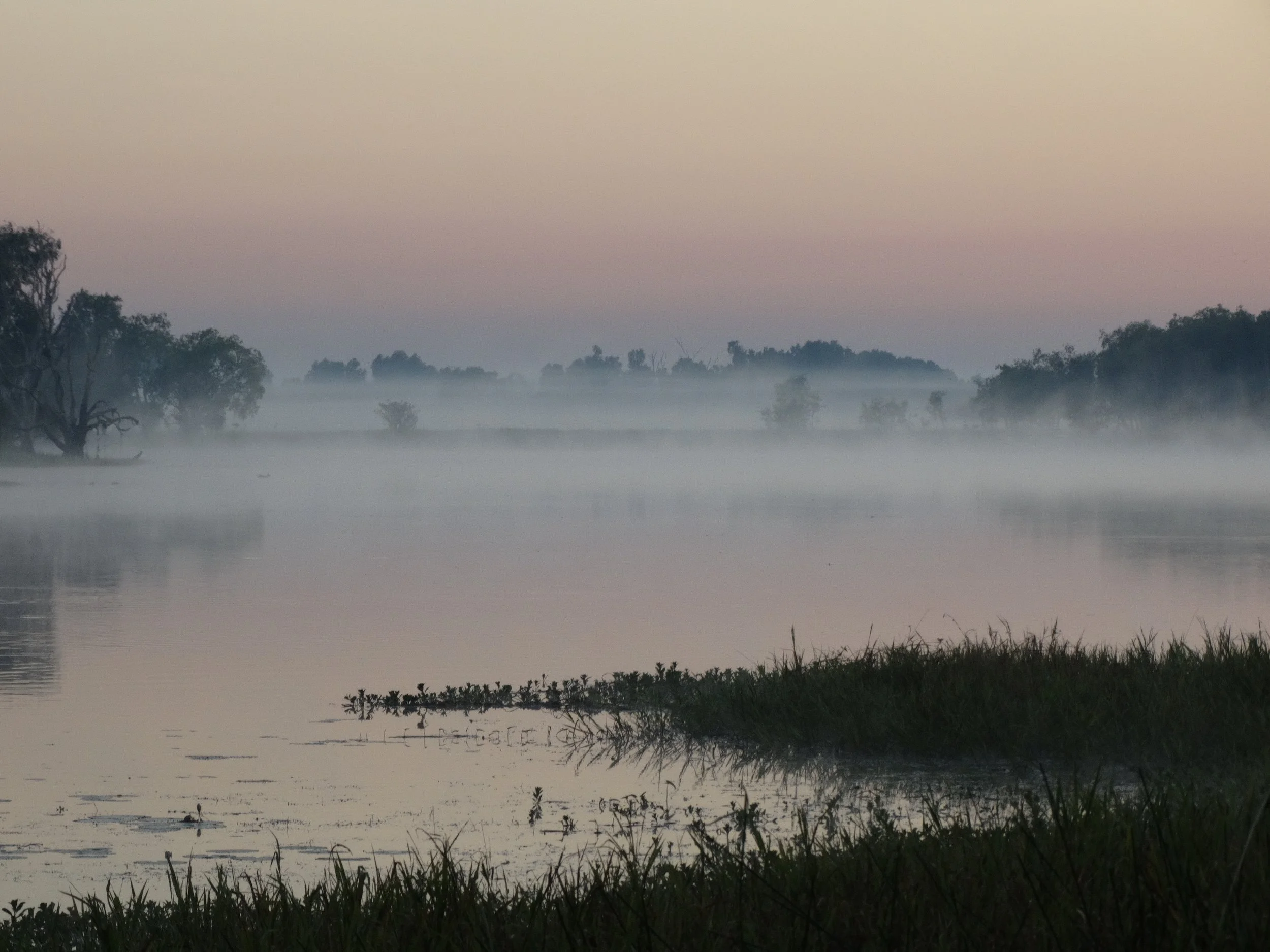 Morning mists in Australia - Emily Percival