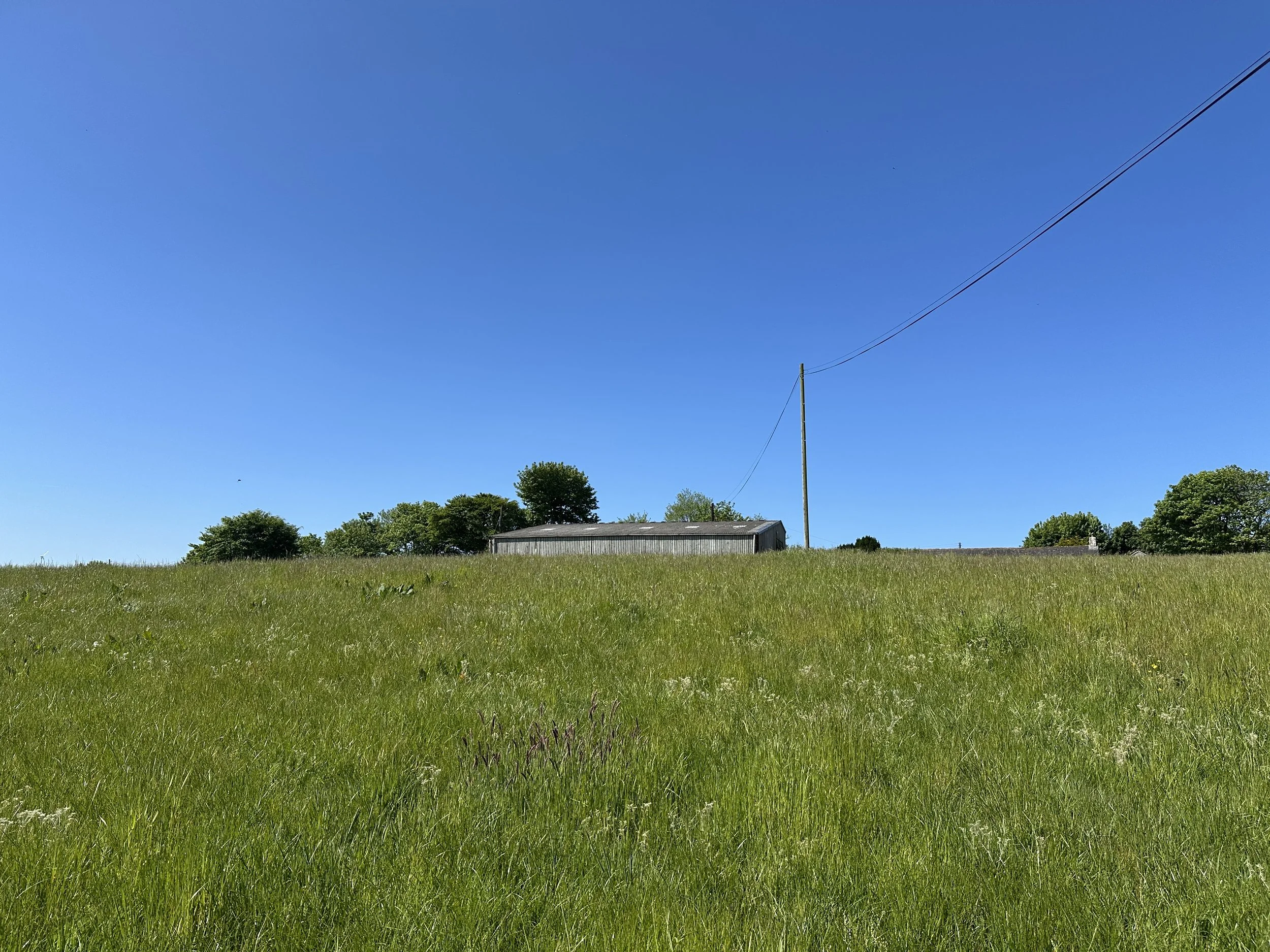 Why We Turned 17 Acres of North Devon Grassland into a Regenerative Agroforestry System