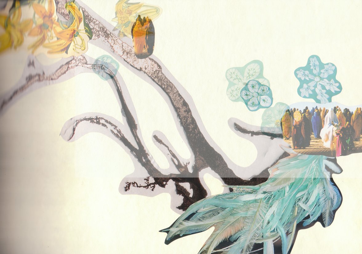 feathers _collage.jpg
