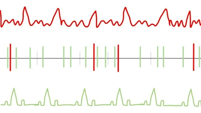 Screenshot 2024-11-02 at 9.44.49 AM.jpg