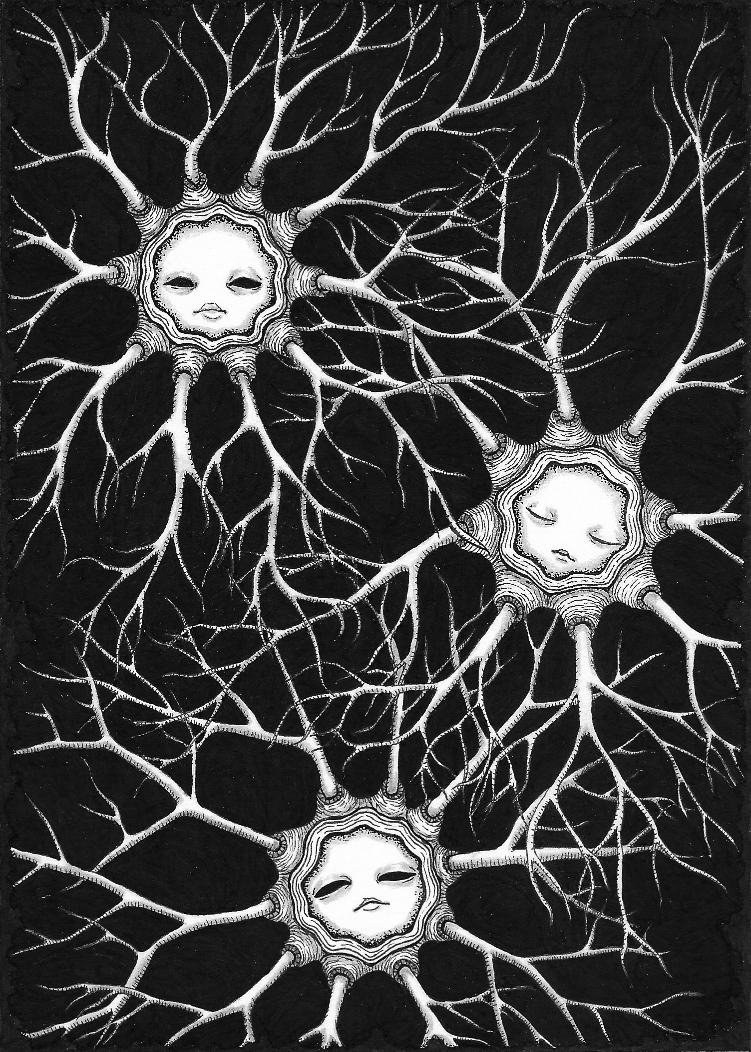 Haeckel 4.jpg