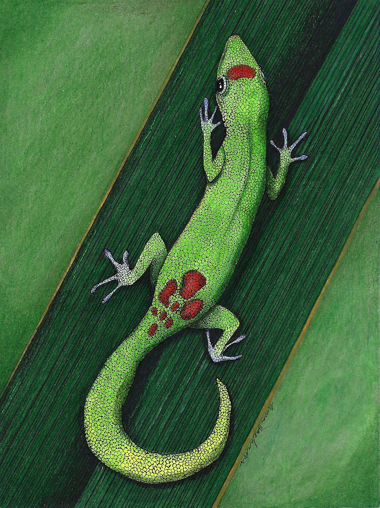 Green Gecko