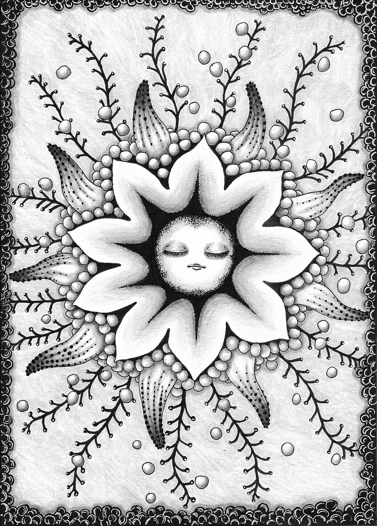 Haeckel 5.jpg
