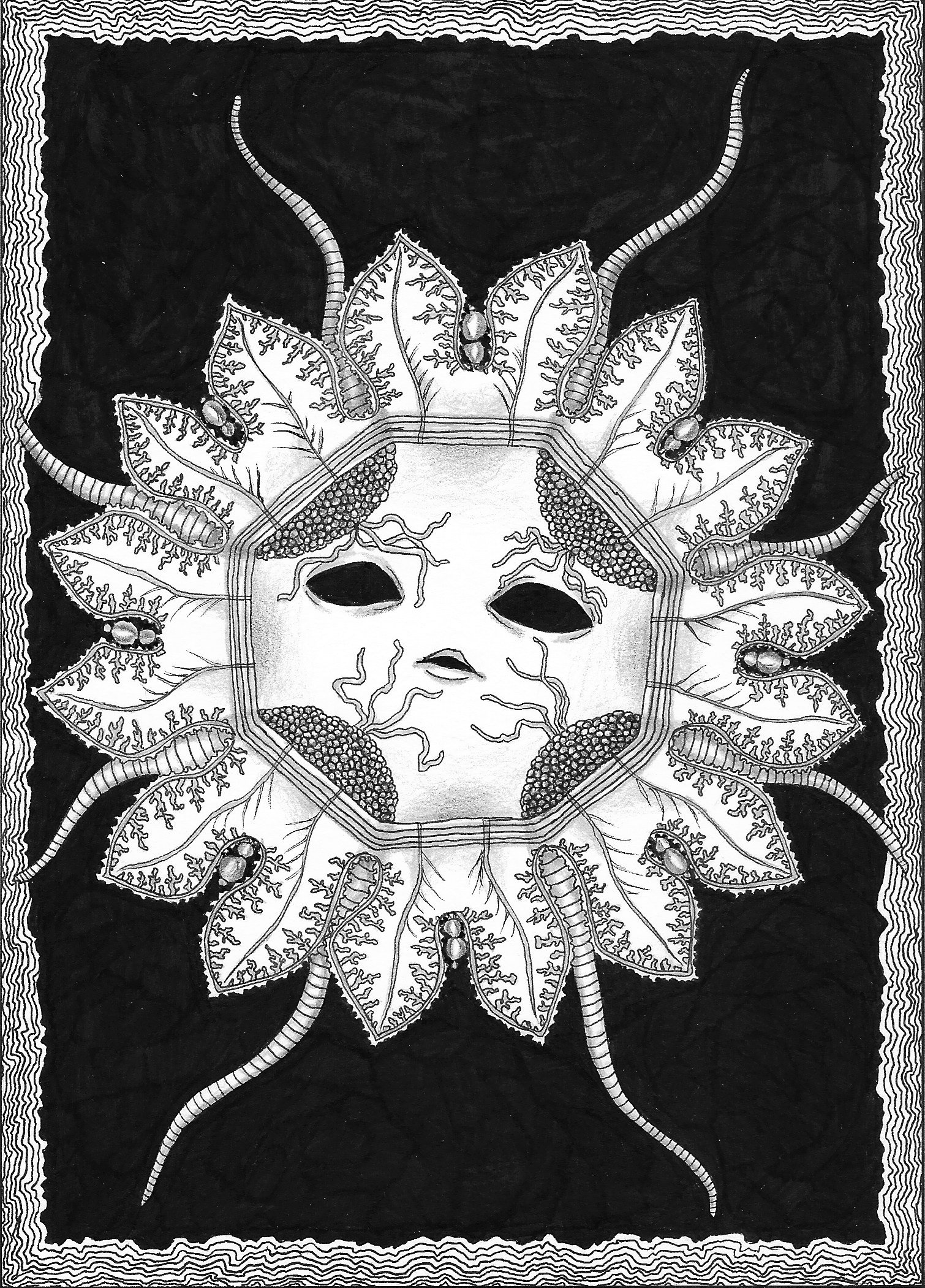 Haeckel 3.jpg