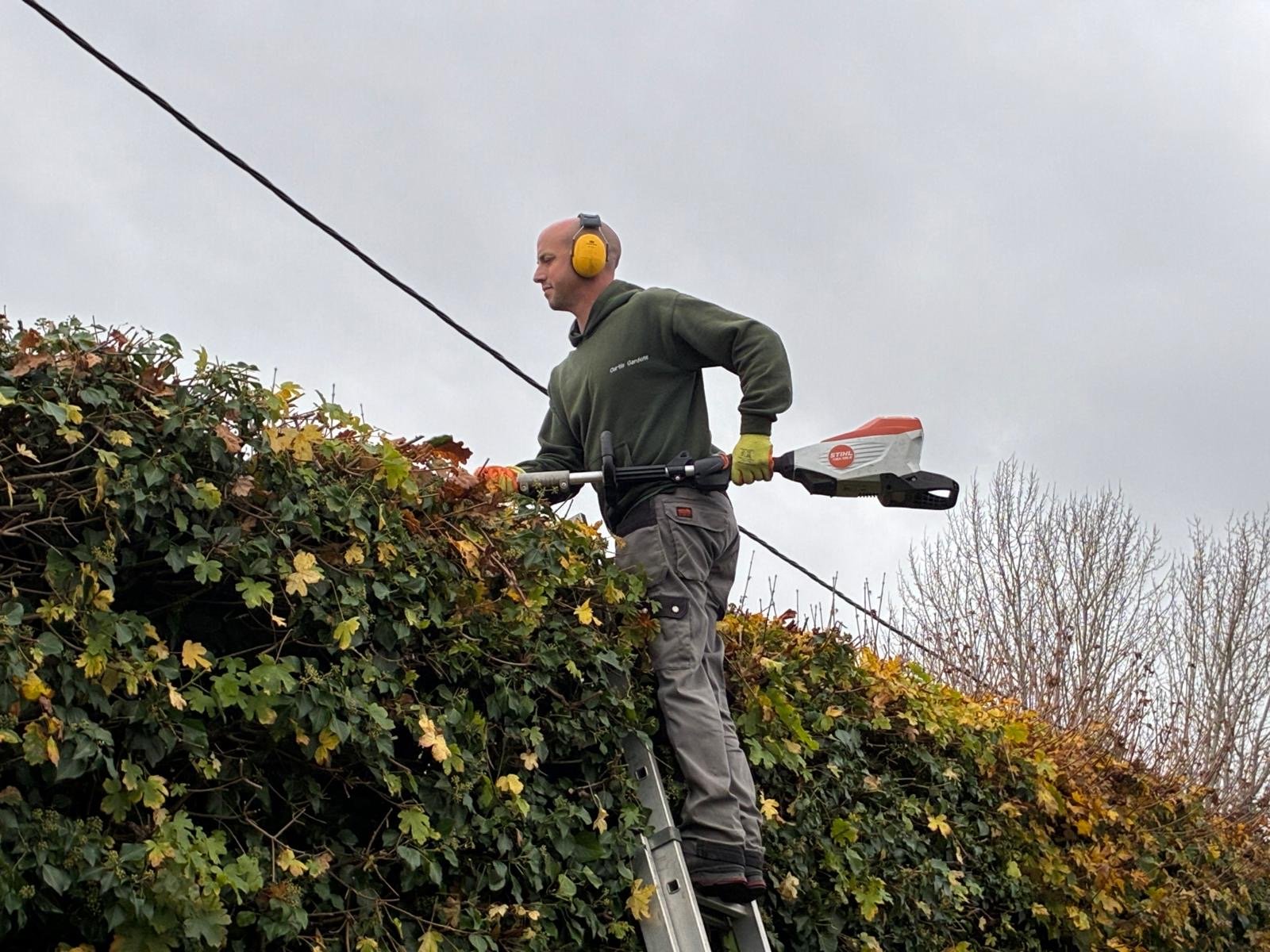 Hedge trimming