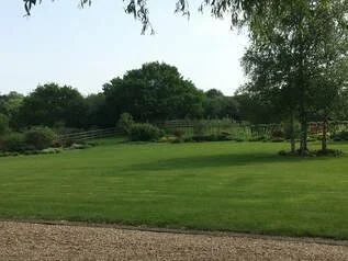 Freshly mowed Lawn.jpg