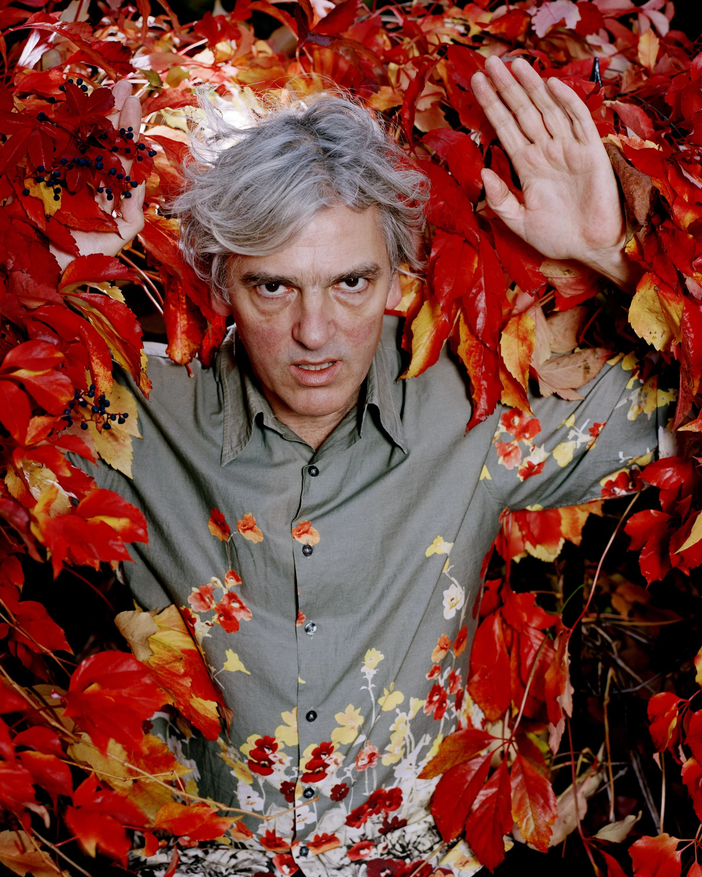 ROBYN HITCHCOCK, London 2003