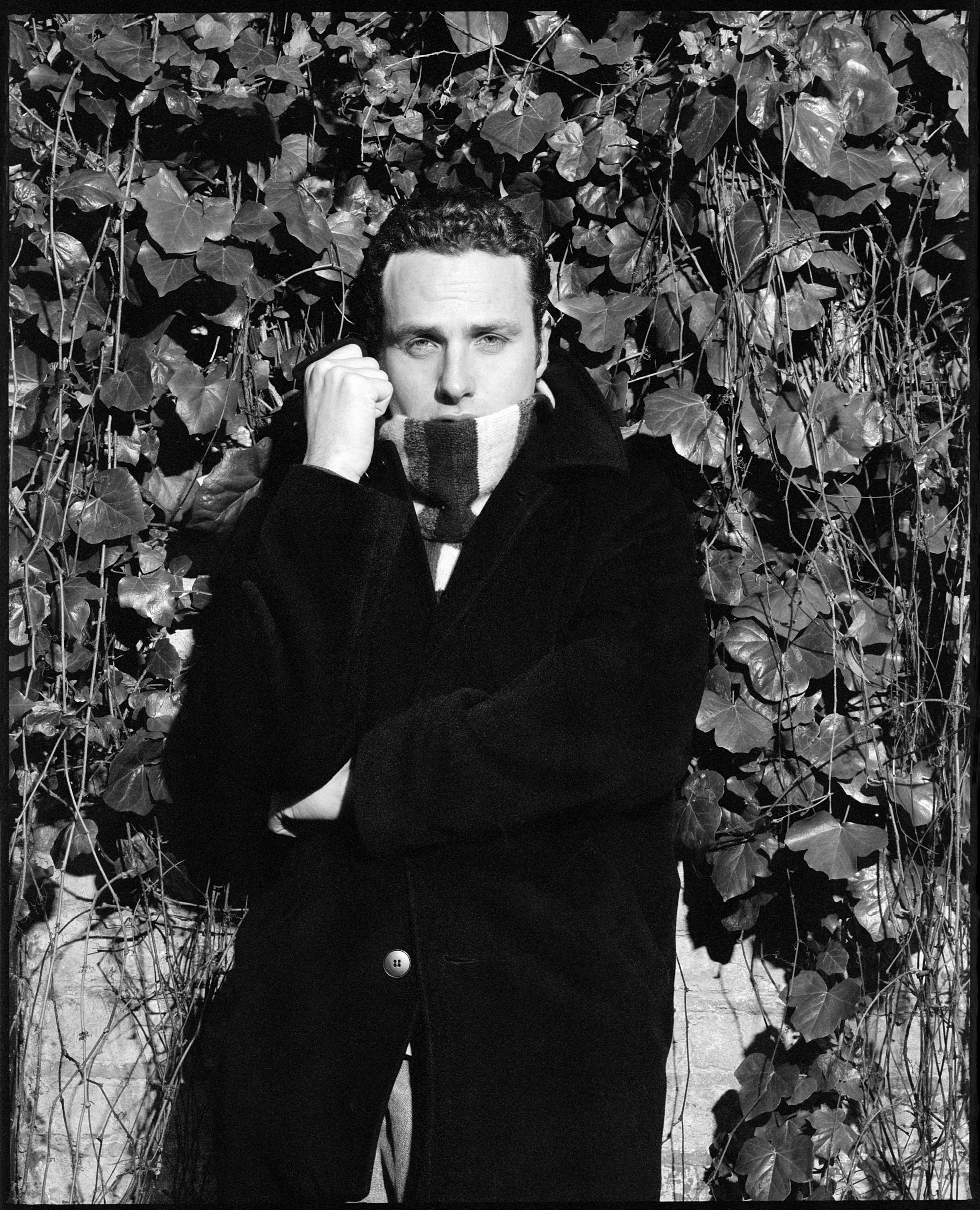 ANDREW LINCOLN, north London 2002