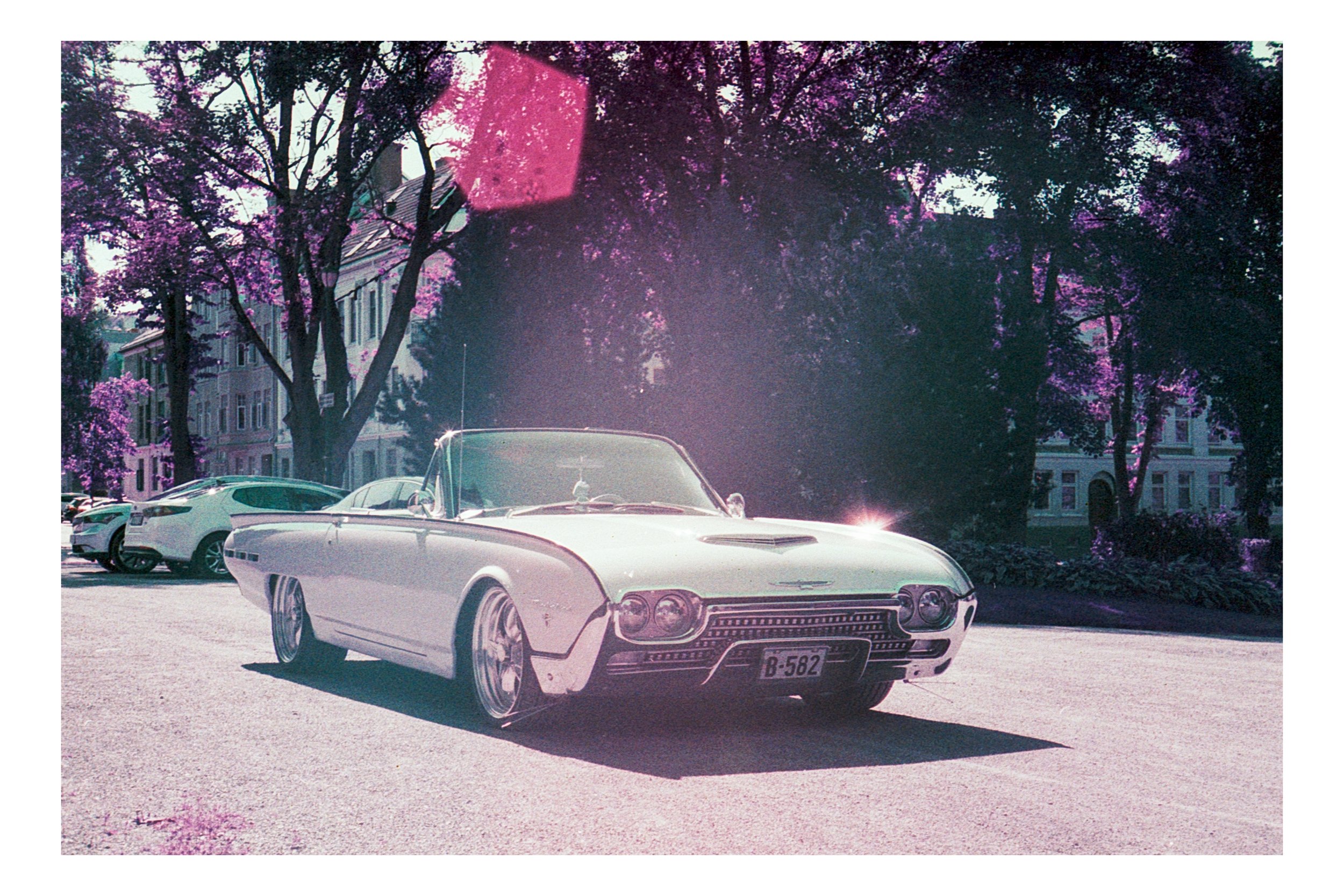 20240118 Lomo Purple 17.jpg