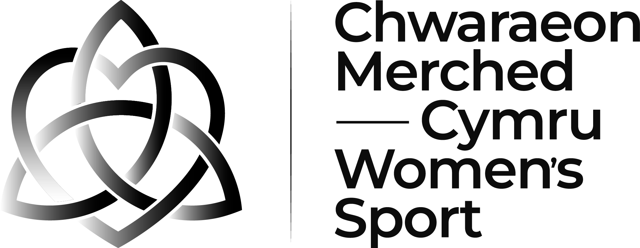 Logo__CWS_Mono_Black_Type.png