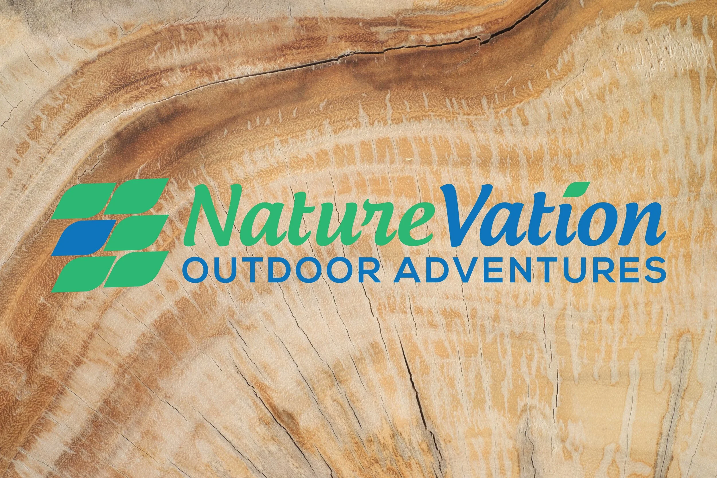 NV Cover Photo 1.jpg