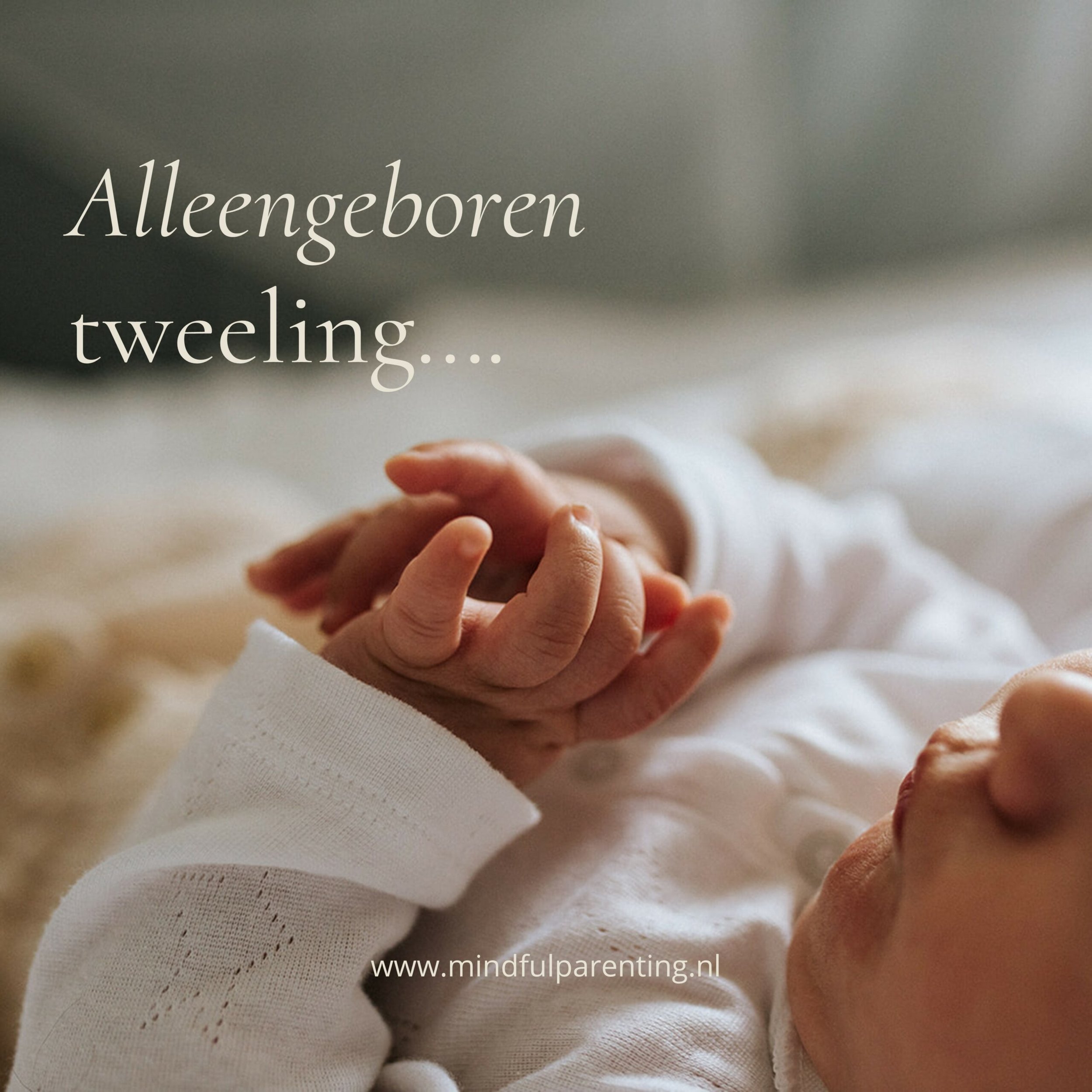 Alleengeboren tweeling....