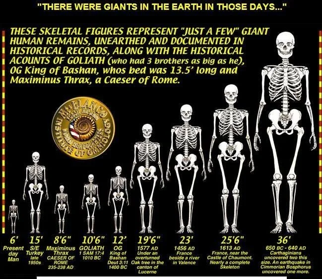 Giants on Earth