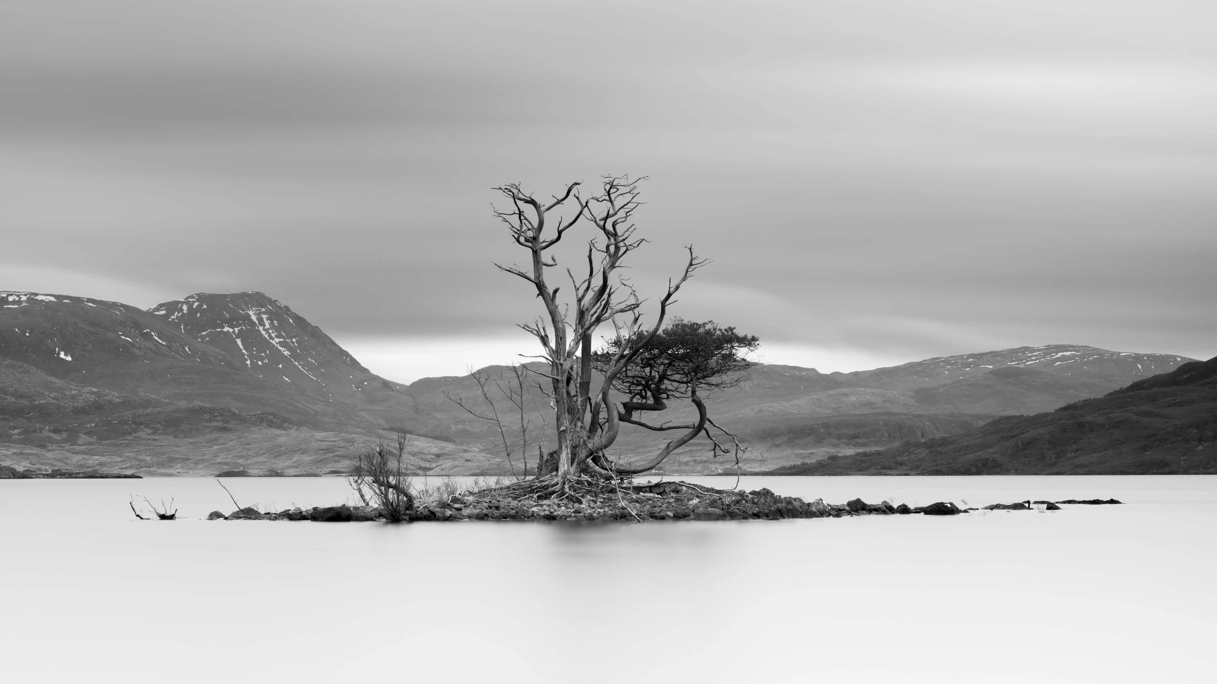 Assynt 2026