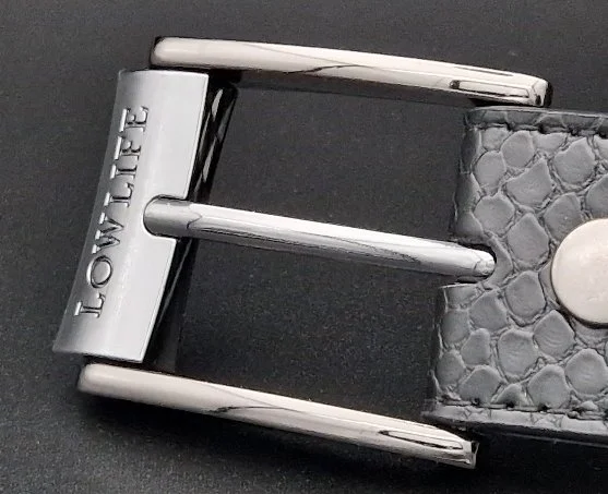 Photo of a prong buckle