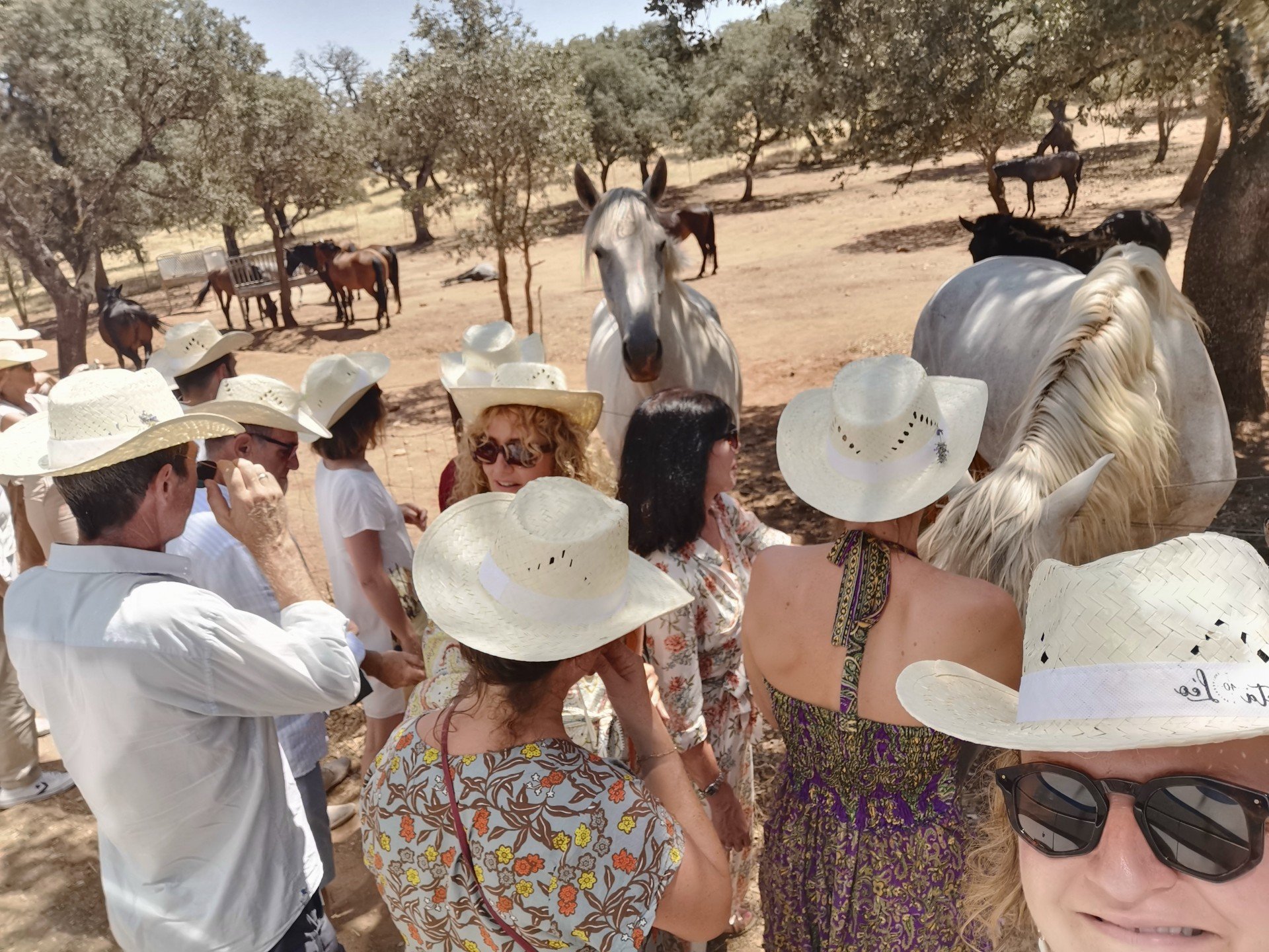Organisation EVJF en Andalousie