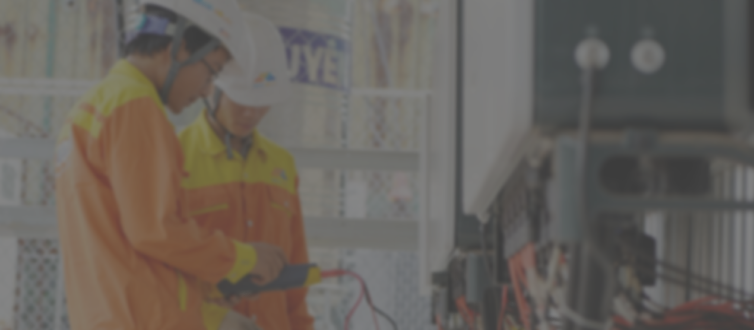 Field Service, Wearables & AI Strategy_Octopus