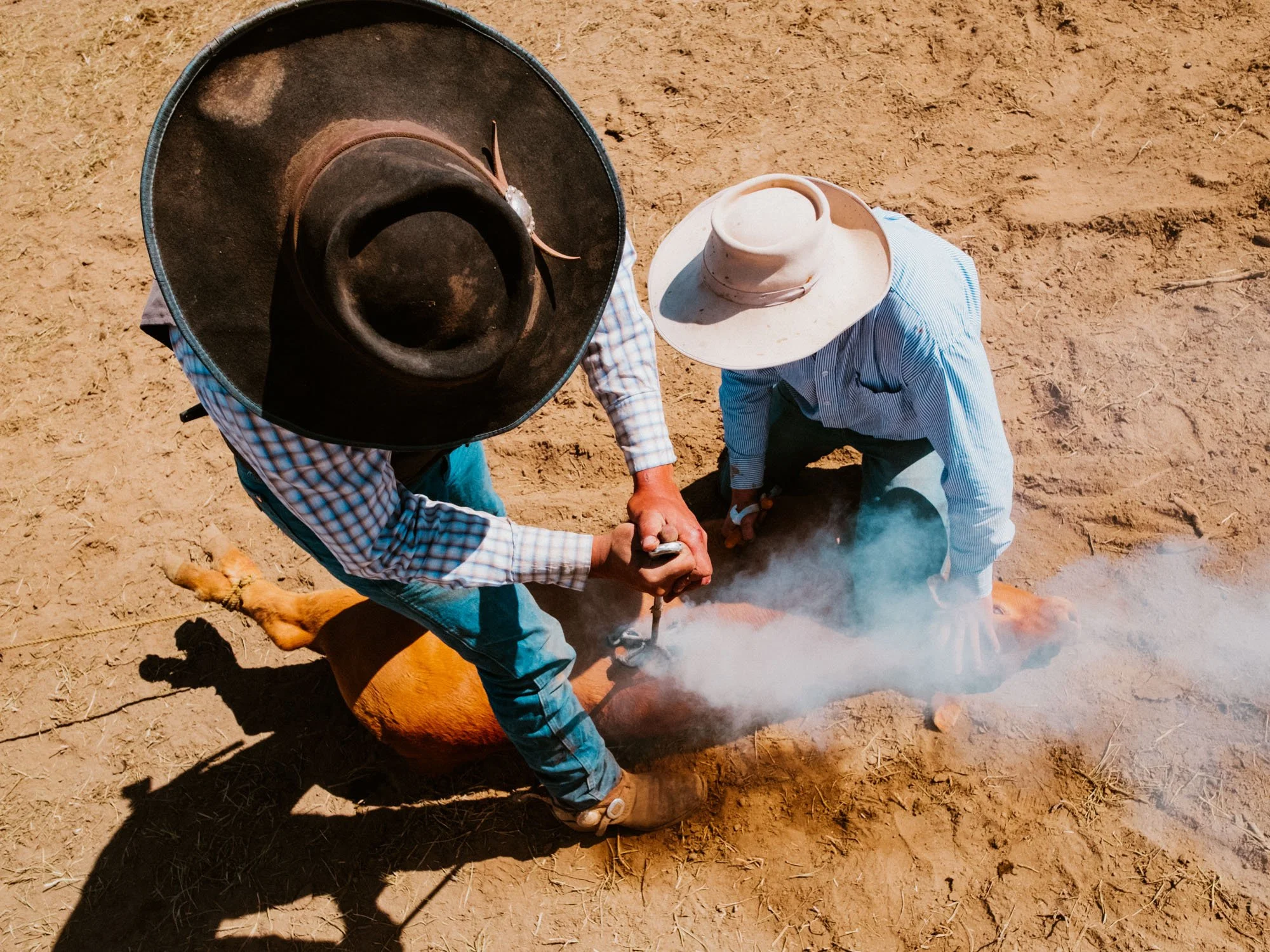DSCF7790_RoaringSpringsRanch_OverheadBranding.jpg