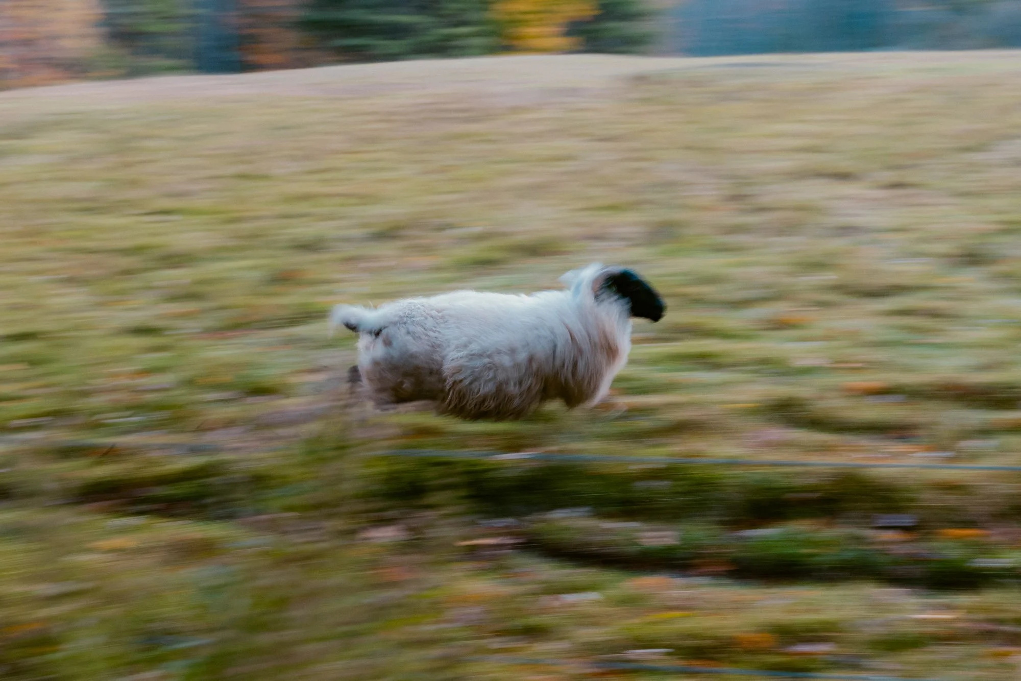 L1001489_Hollis Center Maine.jpg