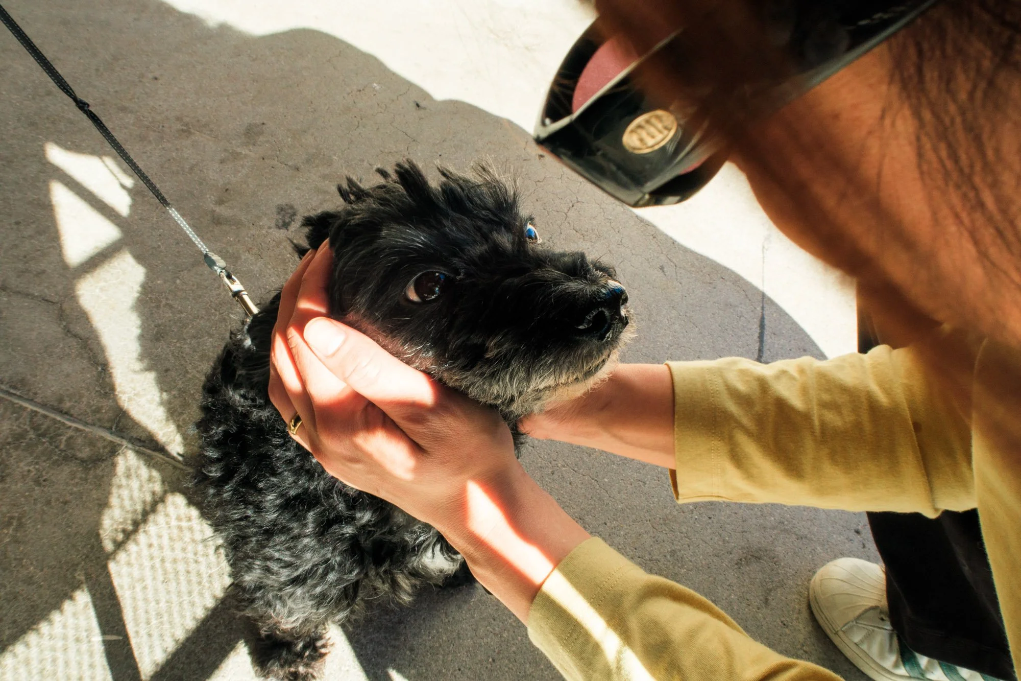 IMG_2847_Alex Petting Dog.jpg