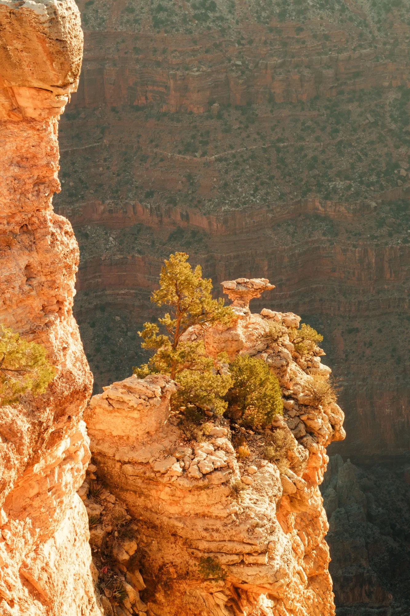 IMG_2879_Grand Canyon.jpg