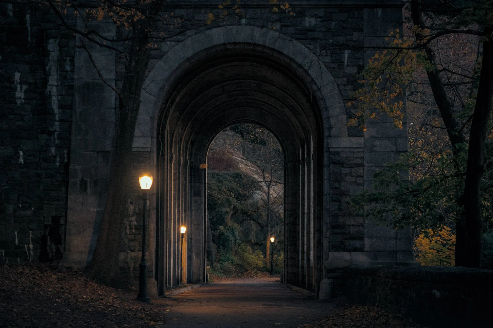 IMG_1950_Billings Arcade in Fort Tryon Part.jpg