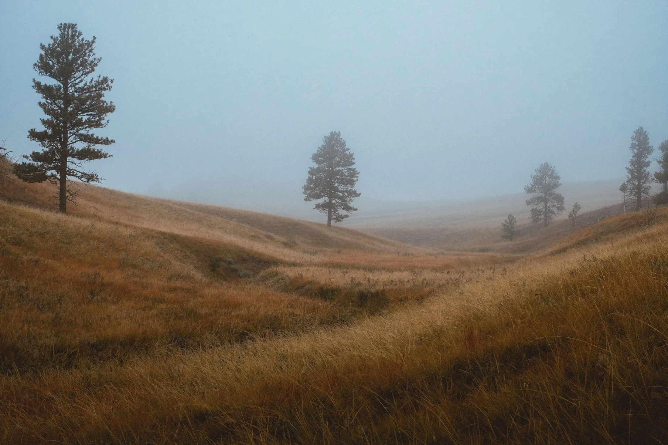 Fog In The Hills. Eastern Wyoming.