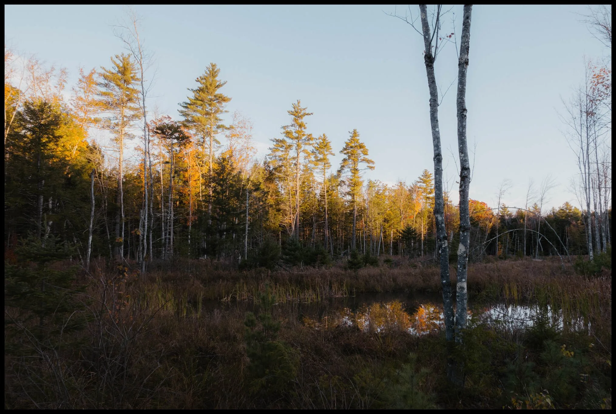 L1001527_Maine Hollis Center Airbnb_BlackBdr.jpg