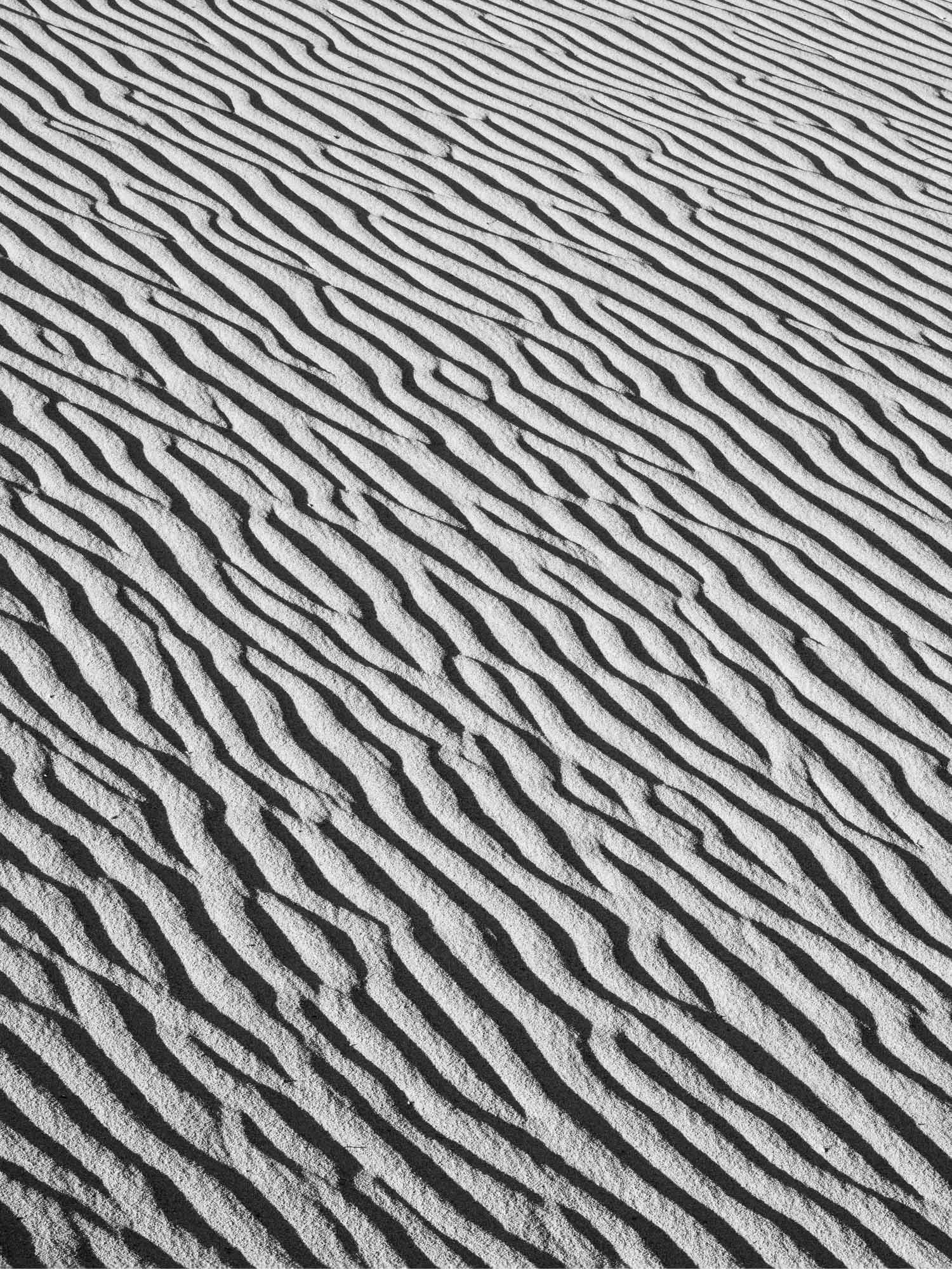 Ripple Texture in Sand Dunes | Death Valley, California