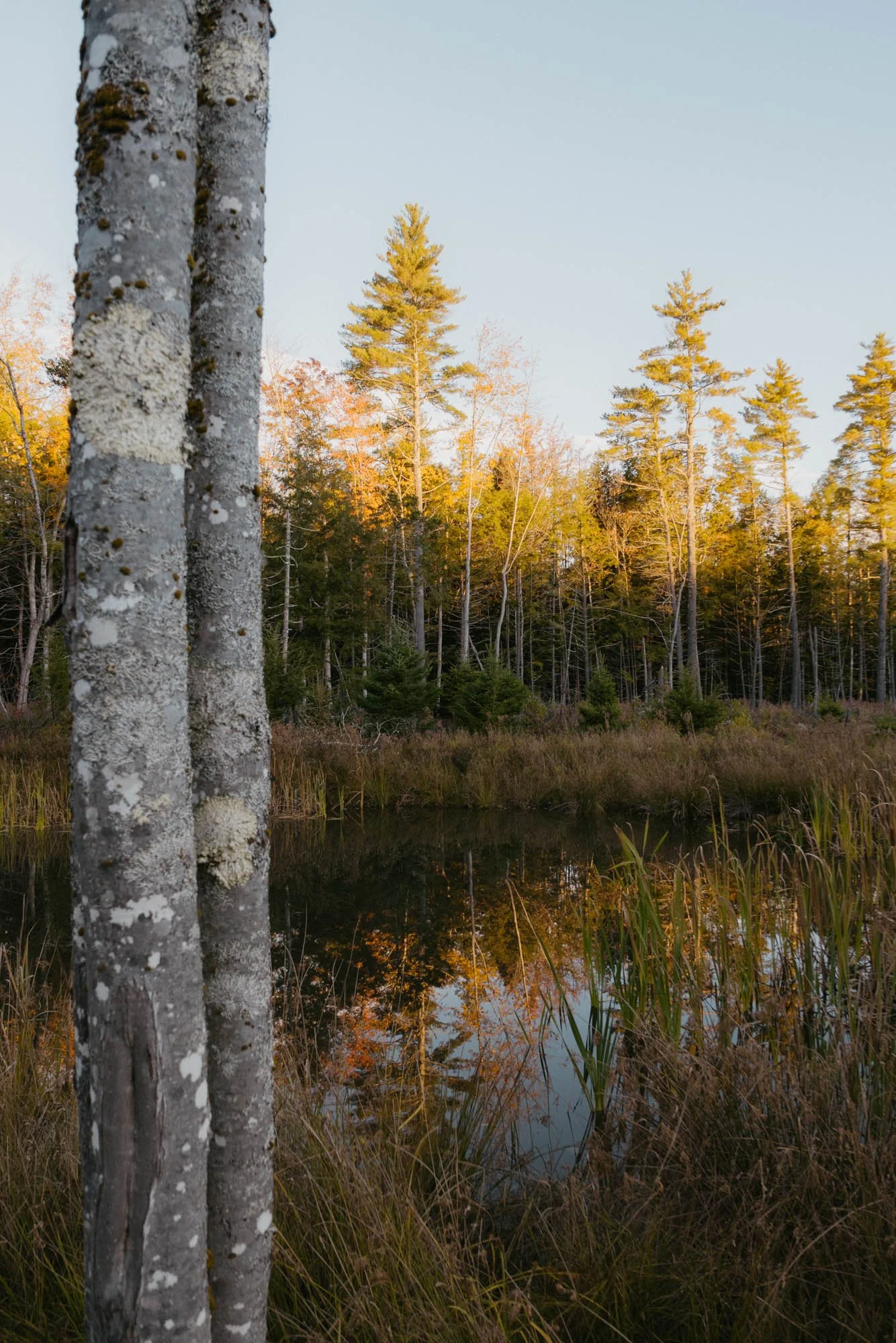 L1001509_Hollis Center Maine.jpg