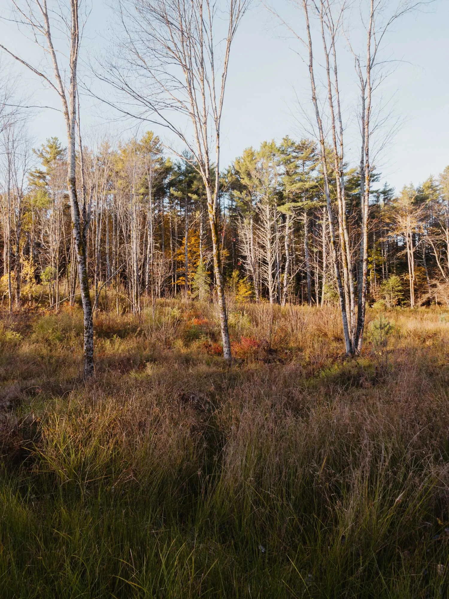 L1001552_Hollis Center Maine.jpg