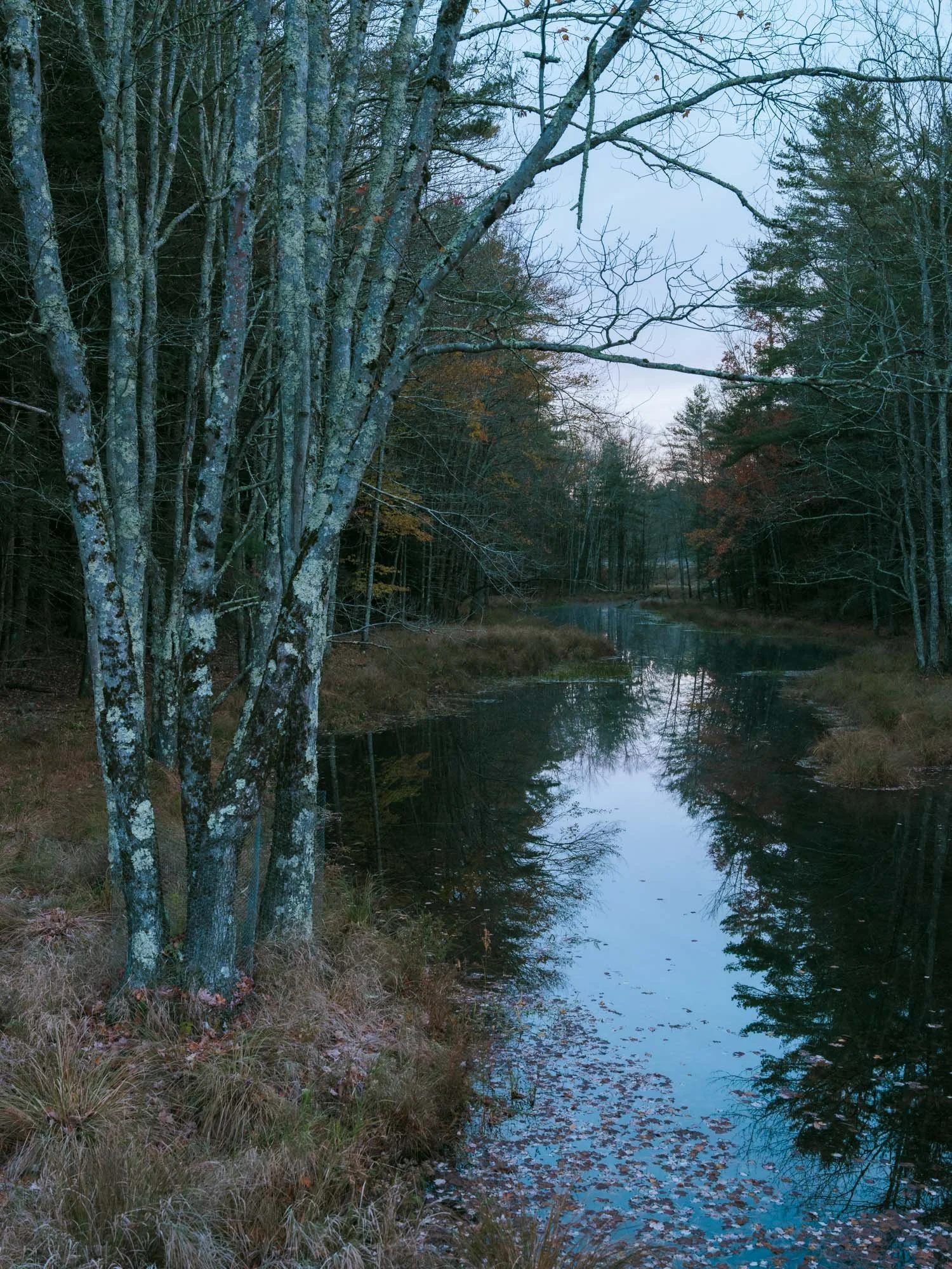 Rochester Creek. Accord, New York