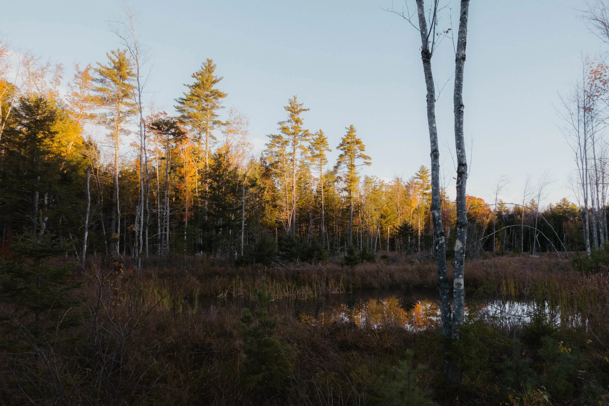 L1001527_Maine Hollis Center Airbnb.jpg