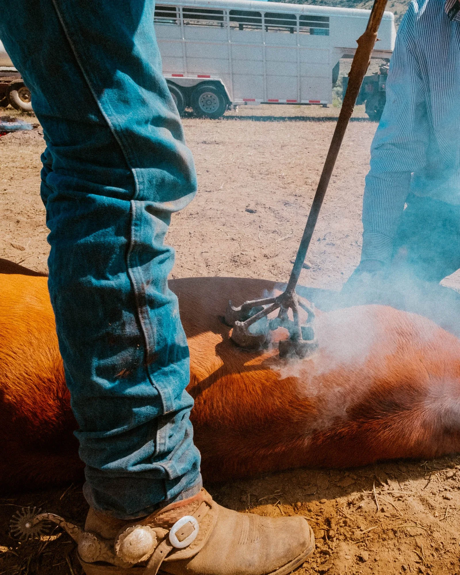 DSCF7791_RoaringSpringsRanch_Branding.jpg