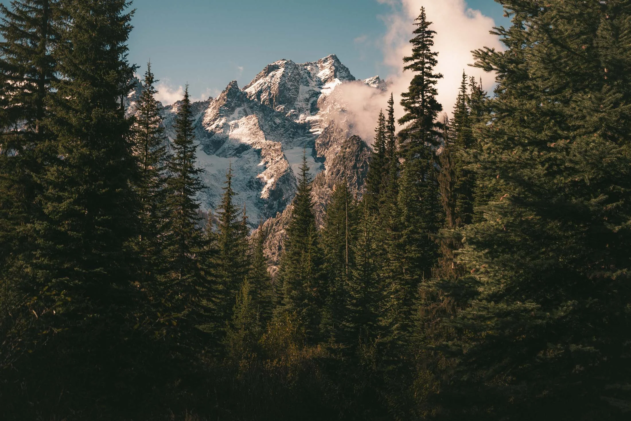 _LFH7623_Best Of.jpg