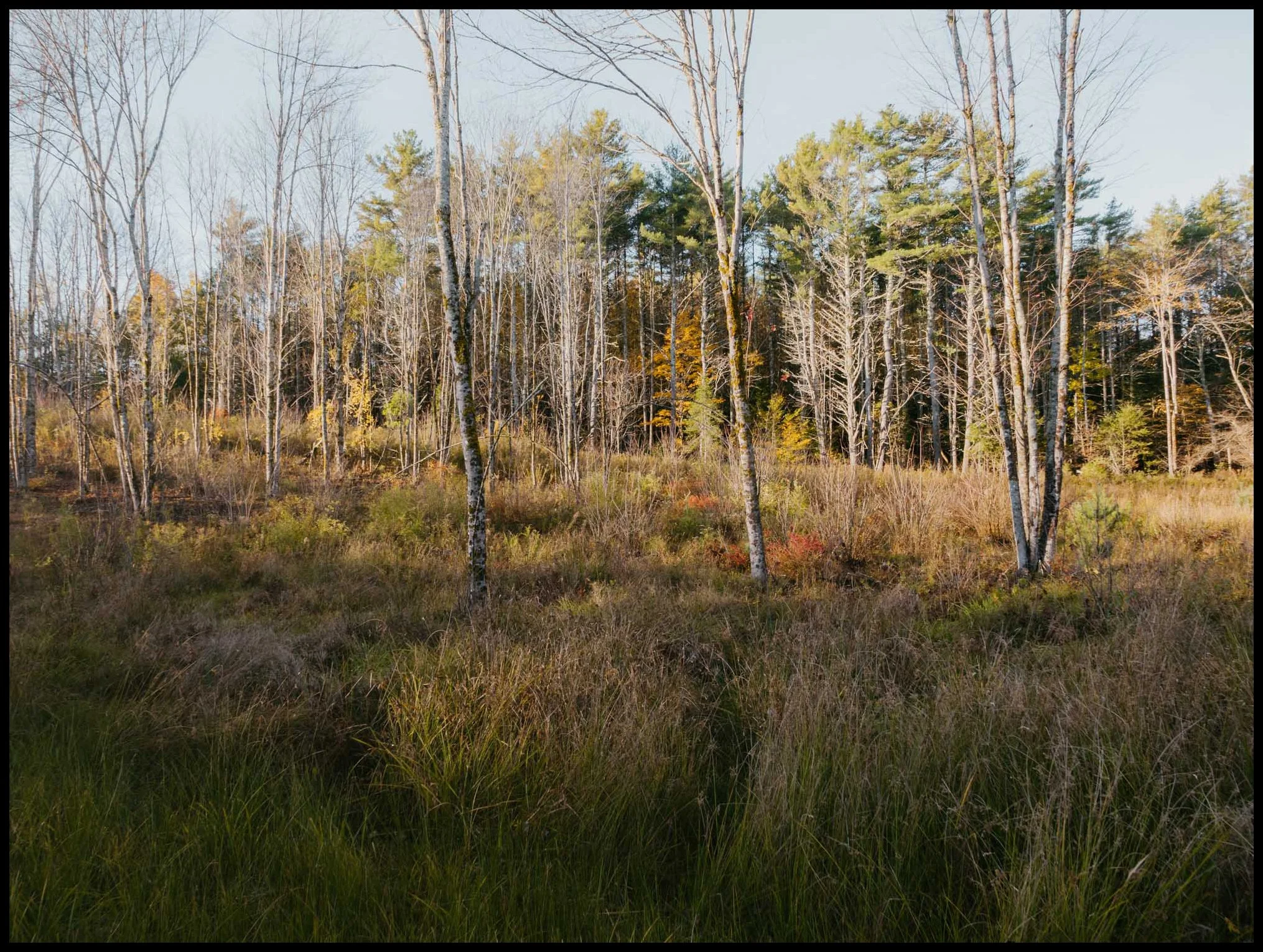 L1001551_Maine Hollis Center Airbnb_BlackBdr.jpg