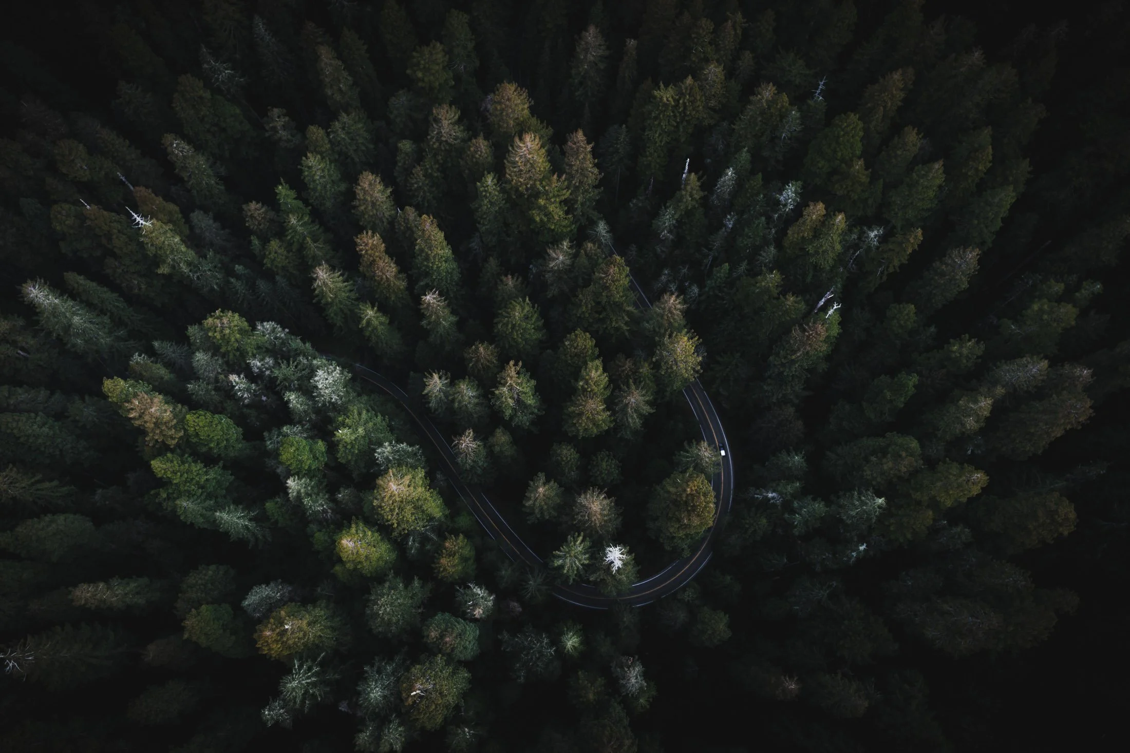 DJI_0078_Best Of.jpg