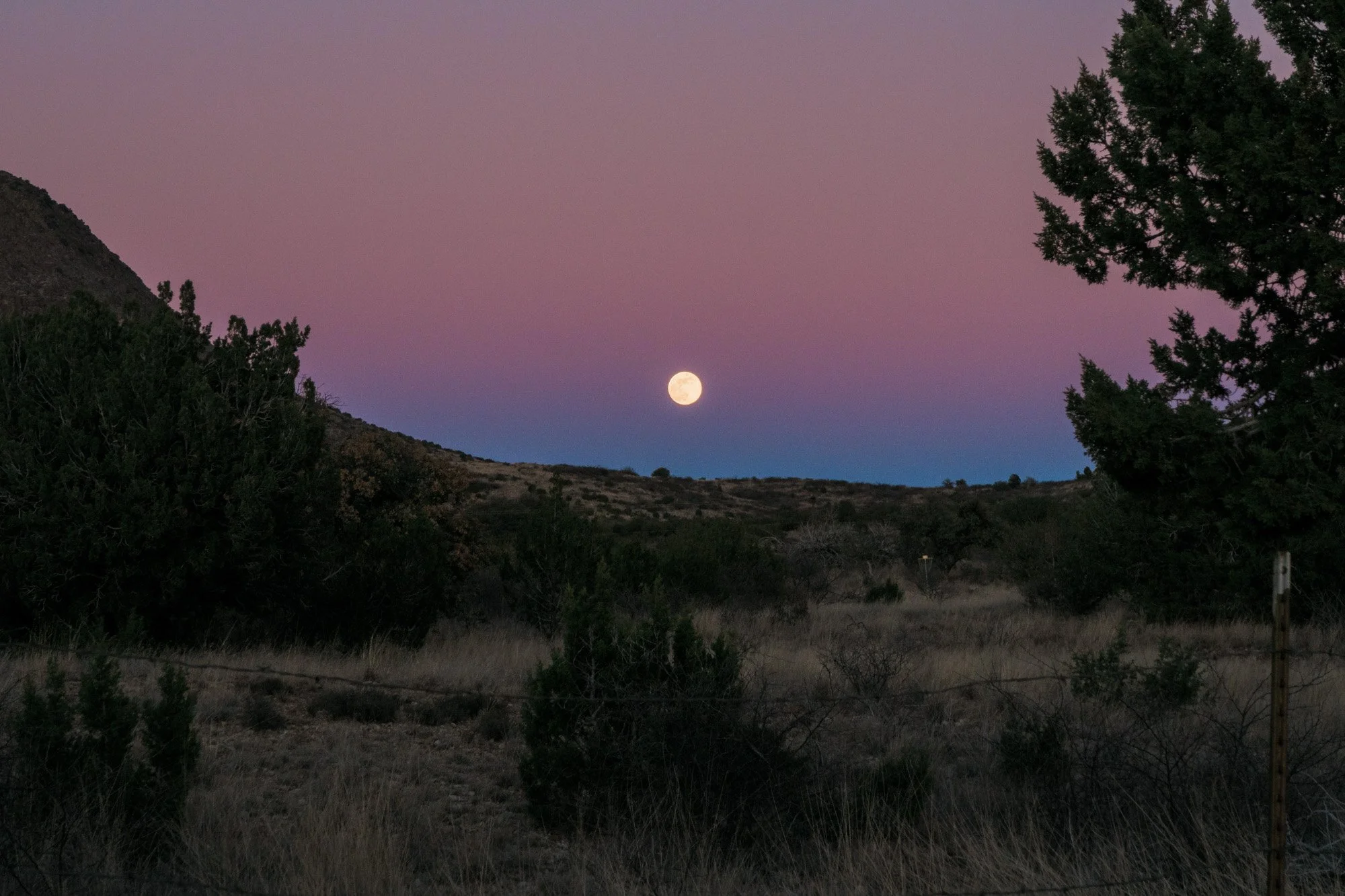 IMG_2459_Fullmoon During Proposal.jpg