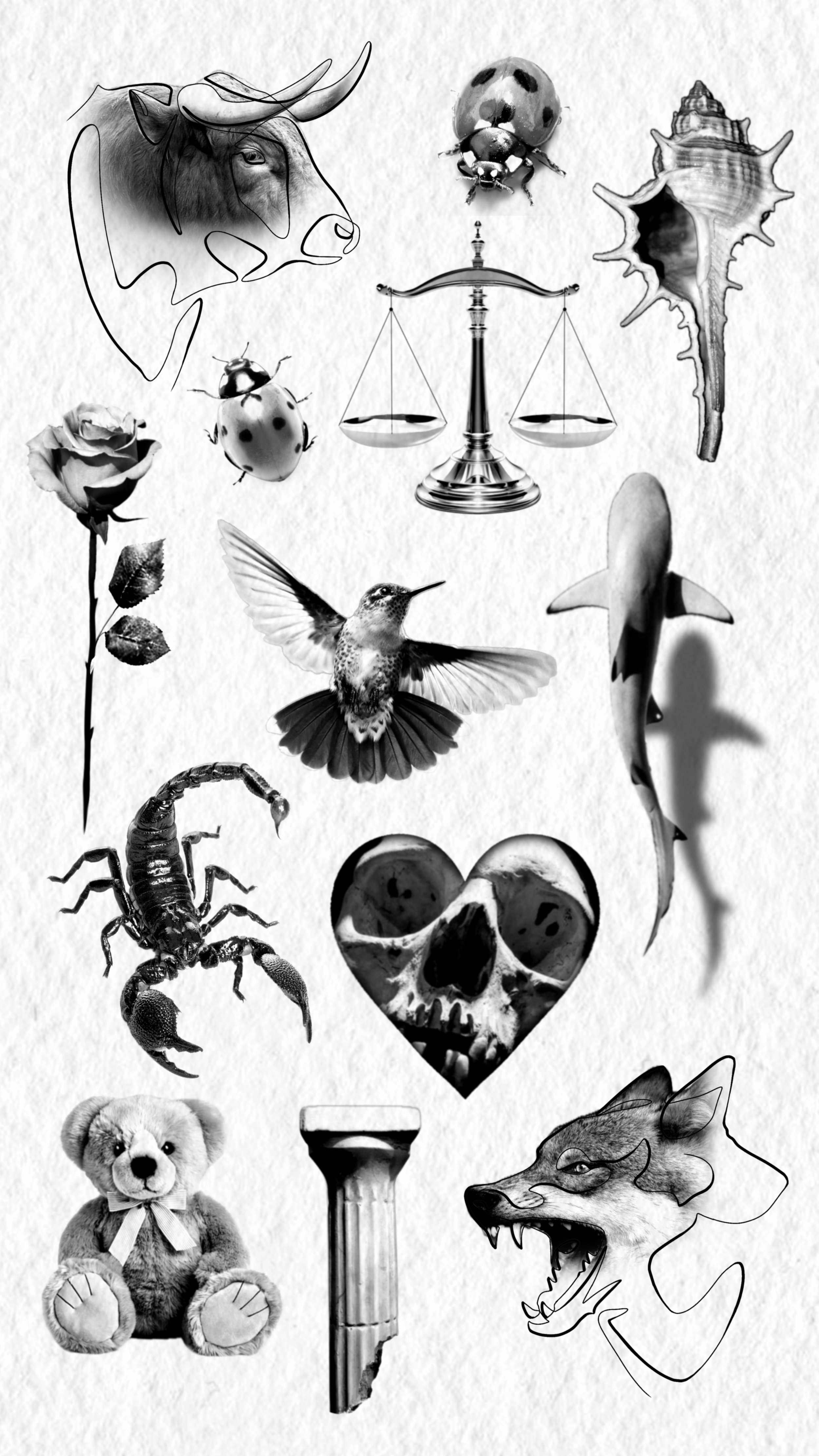 A collage of black and white images including a bull's head, ladybugs, a seashell, a rose, a hummingbird, a skull, a teddy bear, a scorpion, a paw print, and a cartoon wolf.