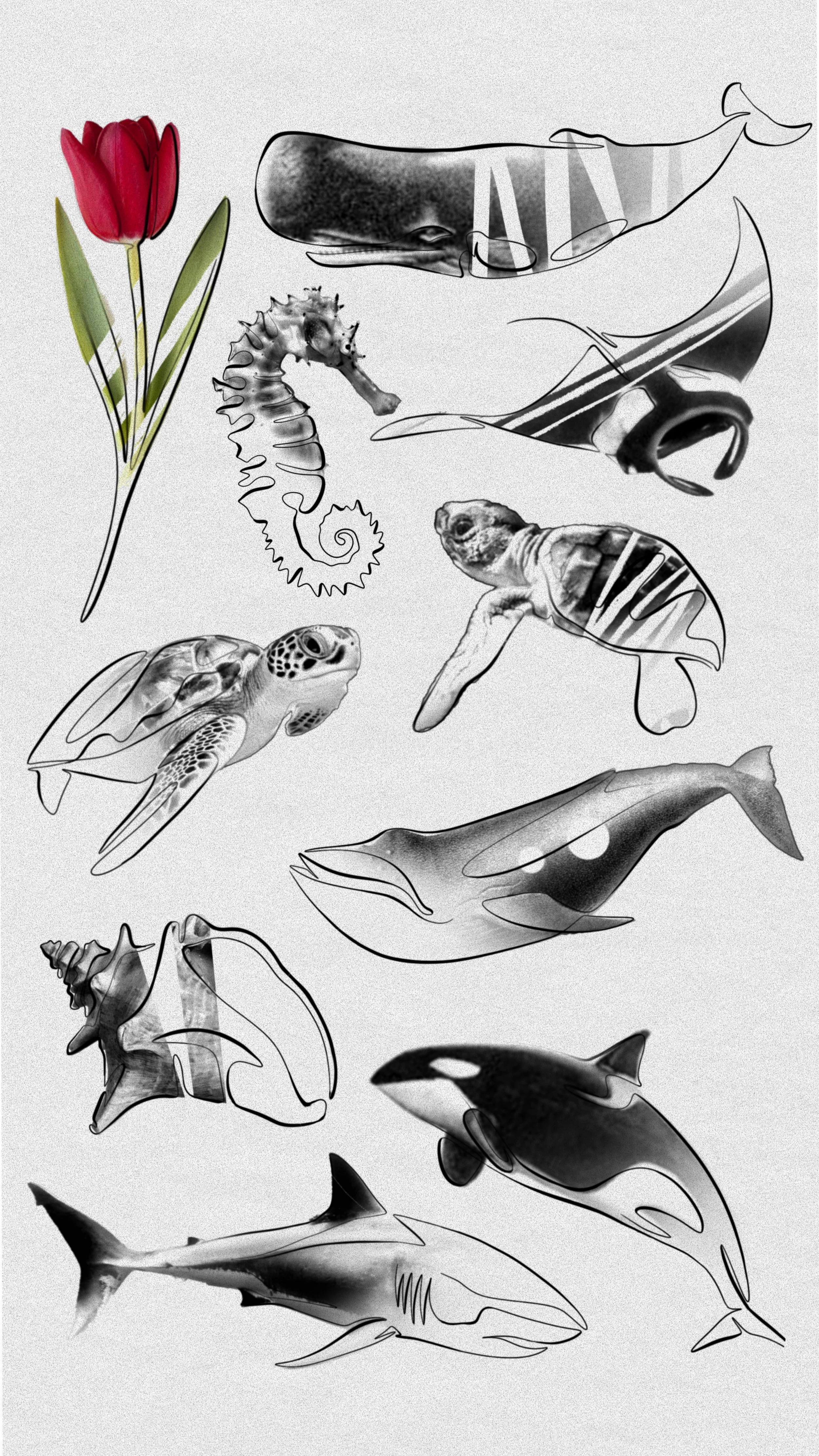 A collection of various sea creatures including sharks, a seahorse, dolphins, a whale, and a turtle, illustrated with both realistic and abstract styles, on a light gray background.