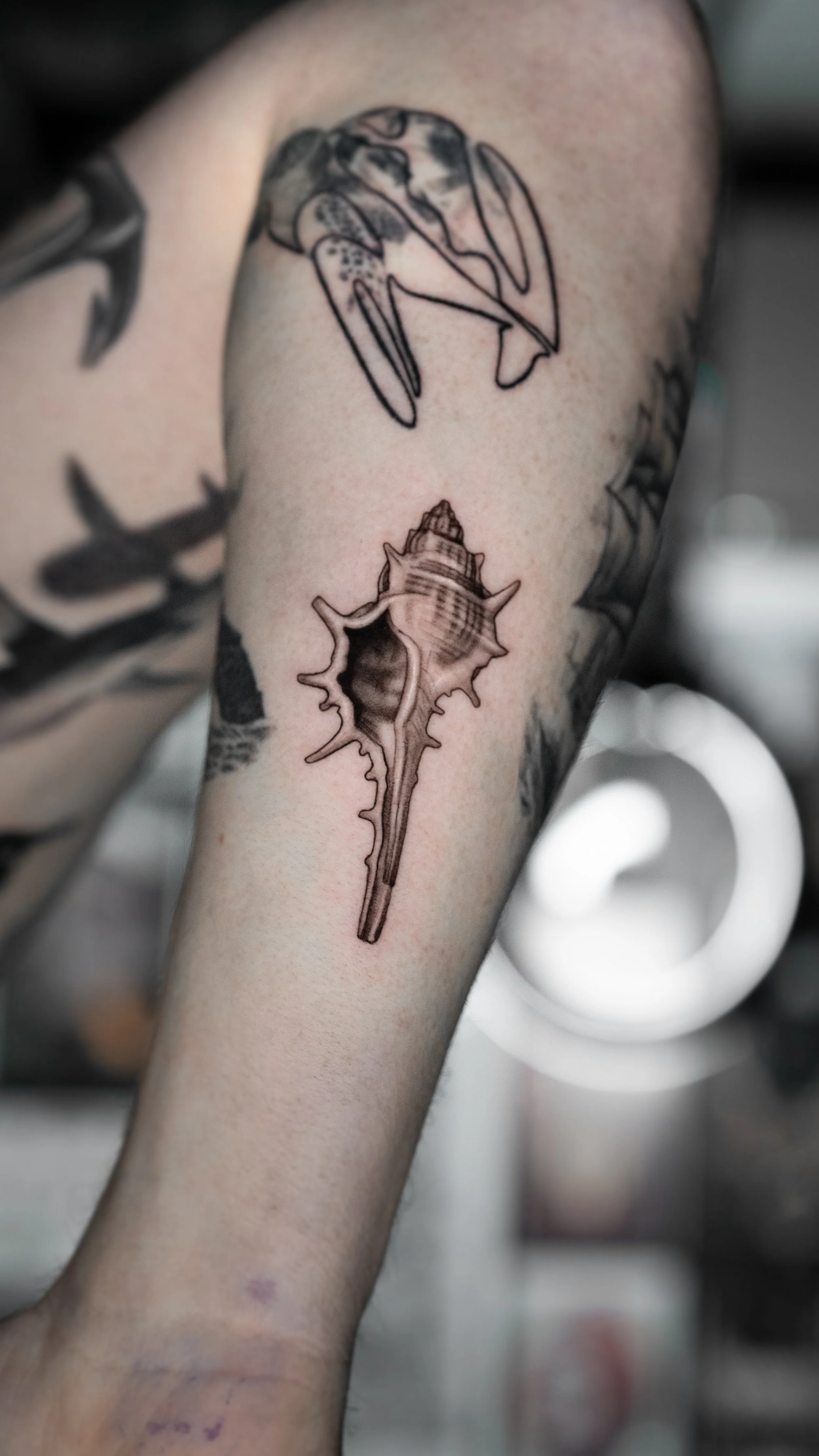 Tattoo of a seashell on a person's arm.