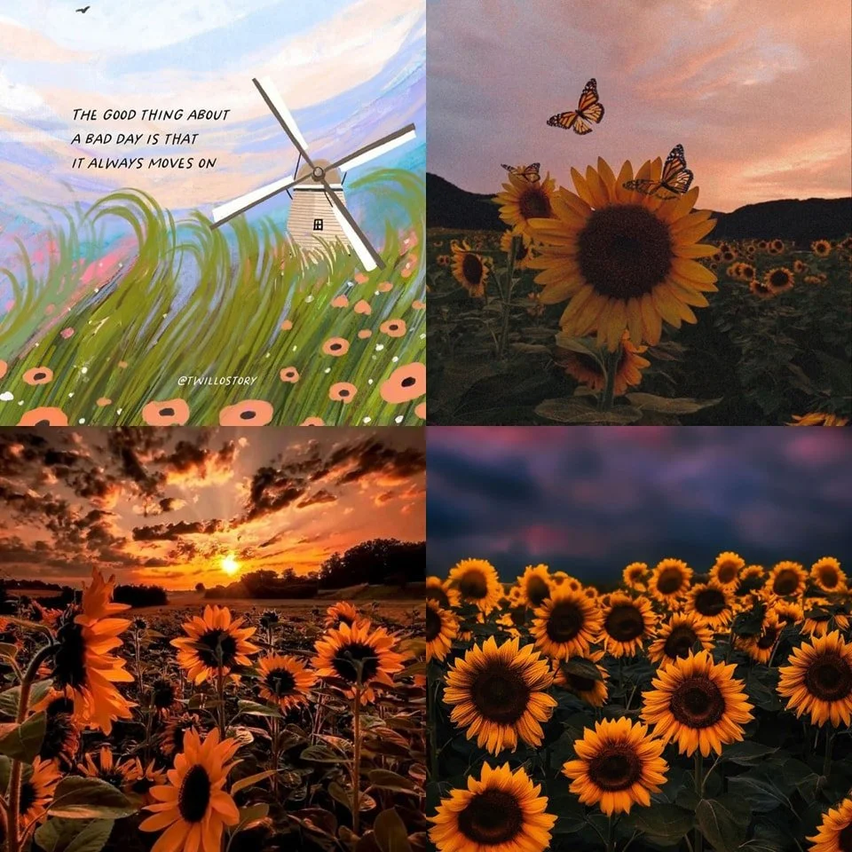 🌻𝐄𝐦𝐛𝐫𝐚𝐜𝐢𝐧𝐠 𝐋𝐢𝐟𝐞'𝐬 𝐔𝐩𝐬 𝐚𝐧𝐝 𝐃𝐨𝐰𝐧𝐬: Finding Inspiration in Every Moment 🌟

No matter how tough the day may seem, remember that the beauty of life lies in its ever-changing nature. The good thing about a bad day? It always move