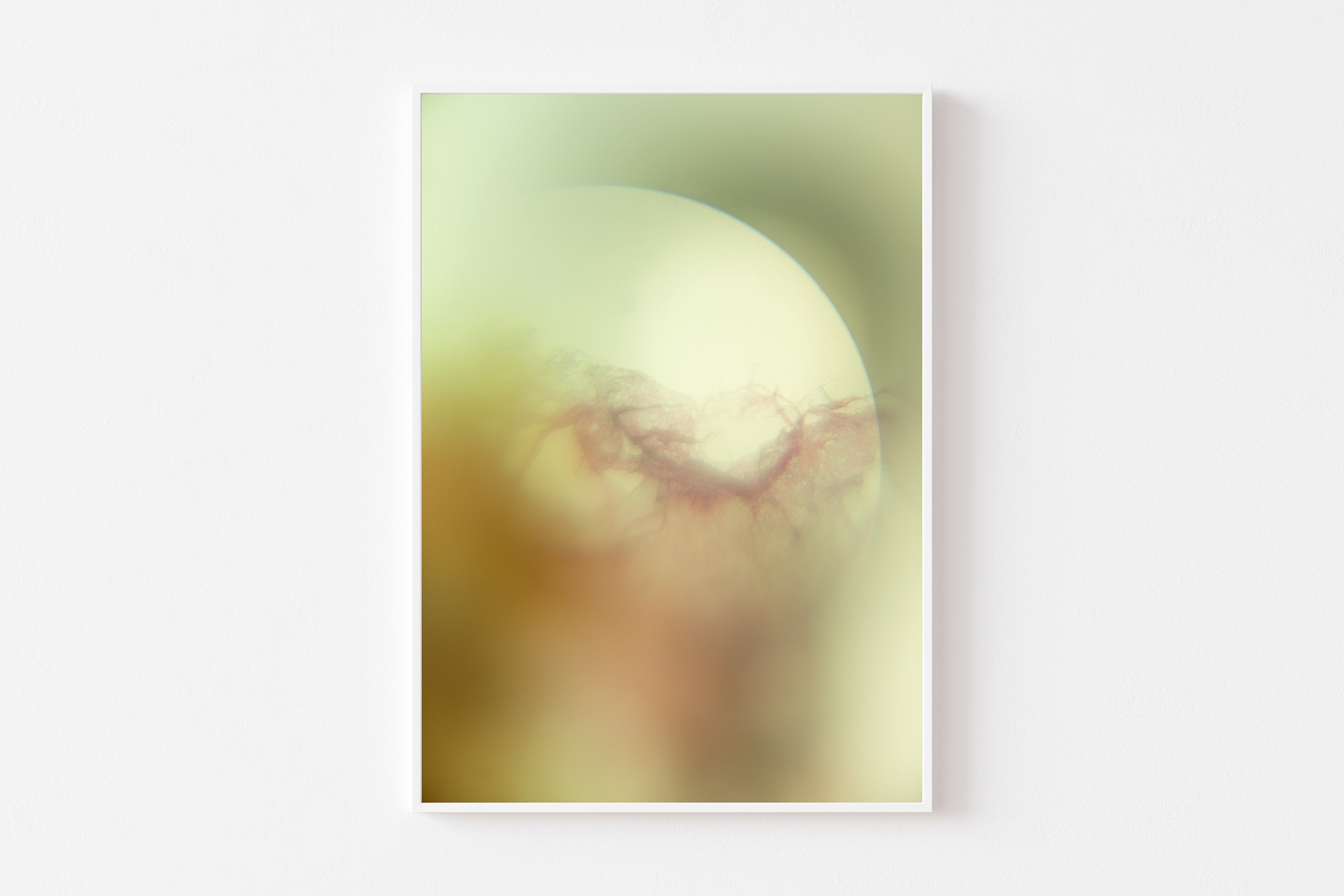 morning star illuminates no 5 srgb white frame.jpg