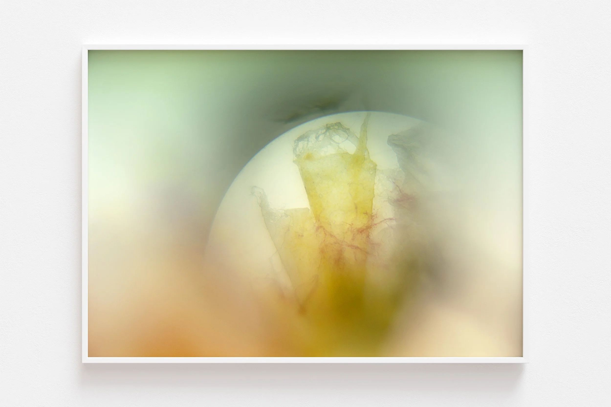 morning star illuminates no2 srgb white frame.jpg