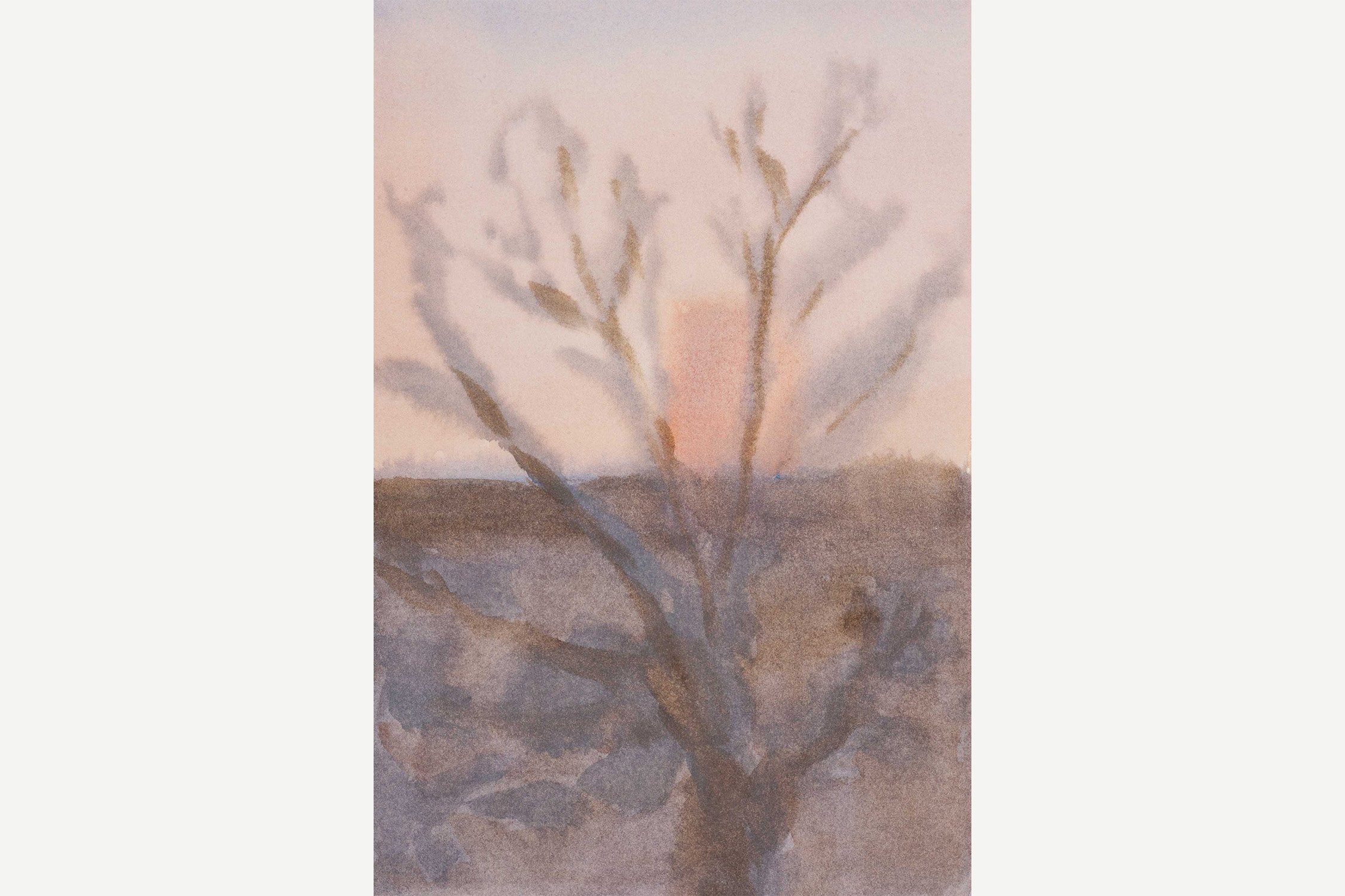 Sky's Serenade (November 11, 2025)